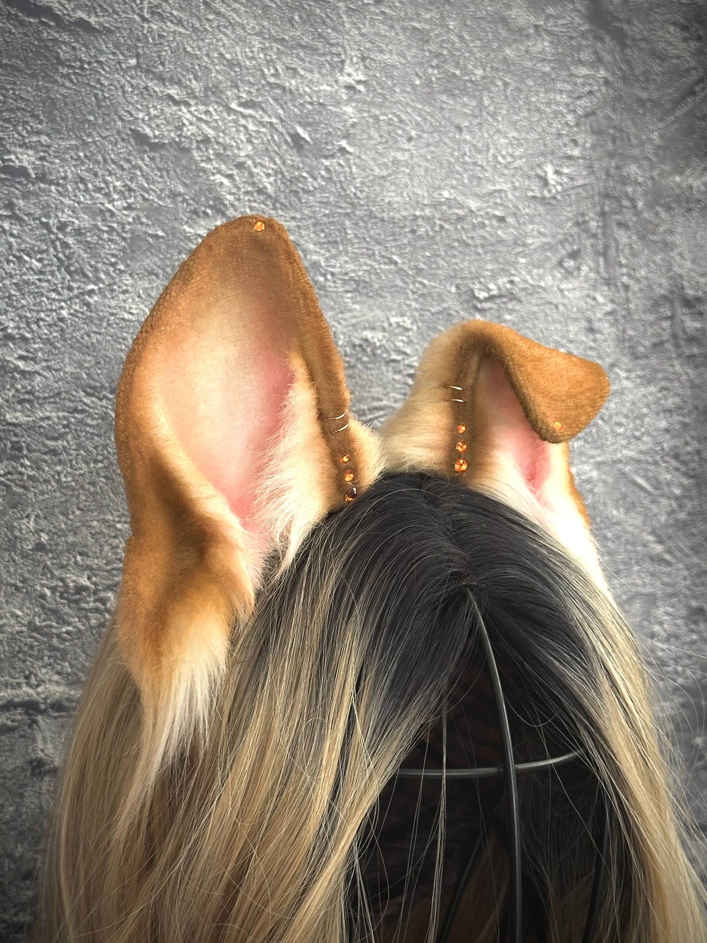 Blonde Puppy Ears RFS