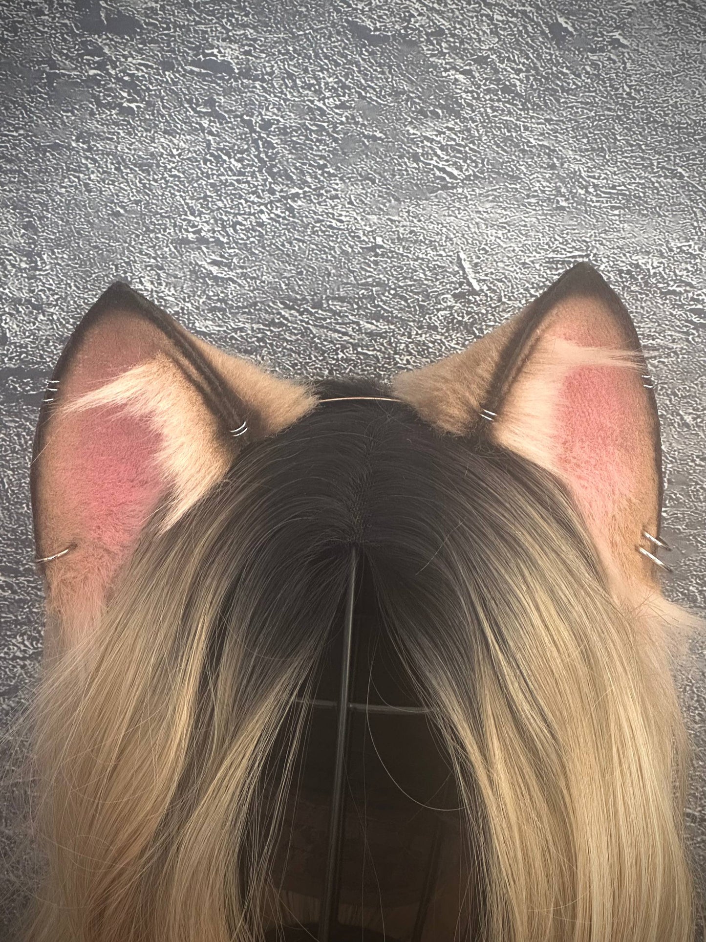 Caramel Kitten RFS