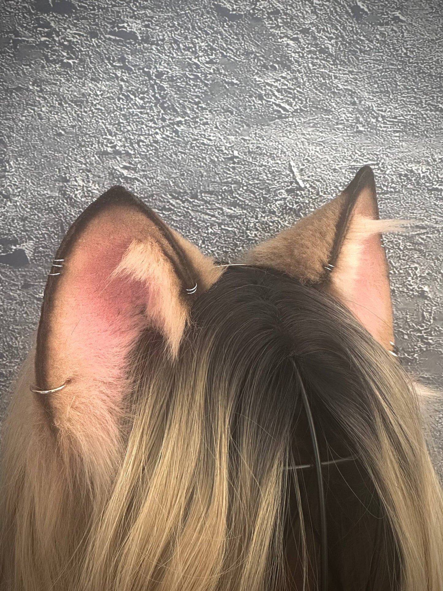 Caramel Kitten RFS