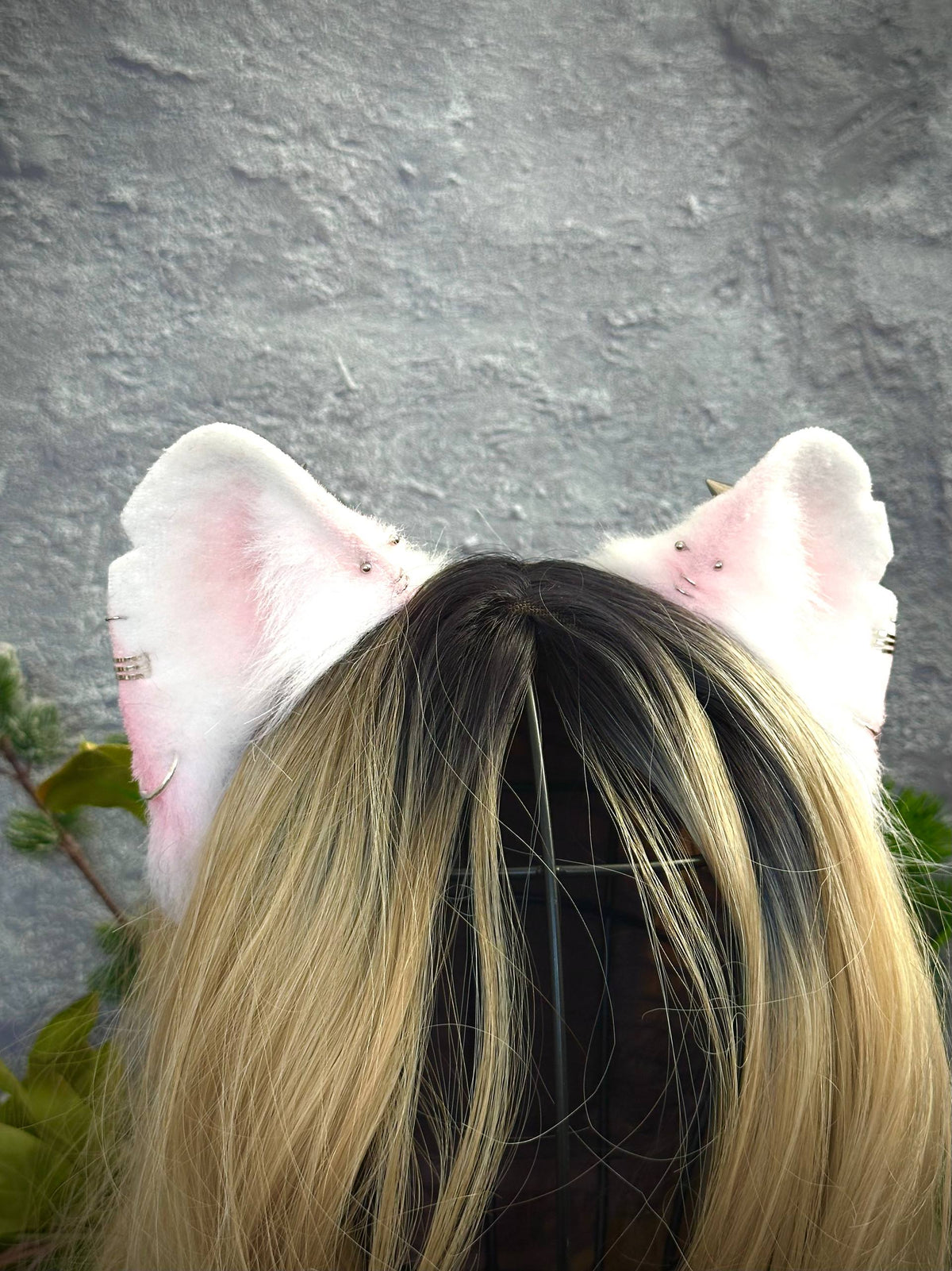 Albino Rat Ears RFS