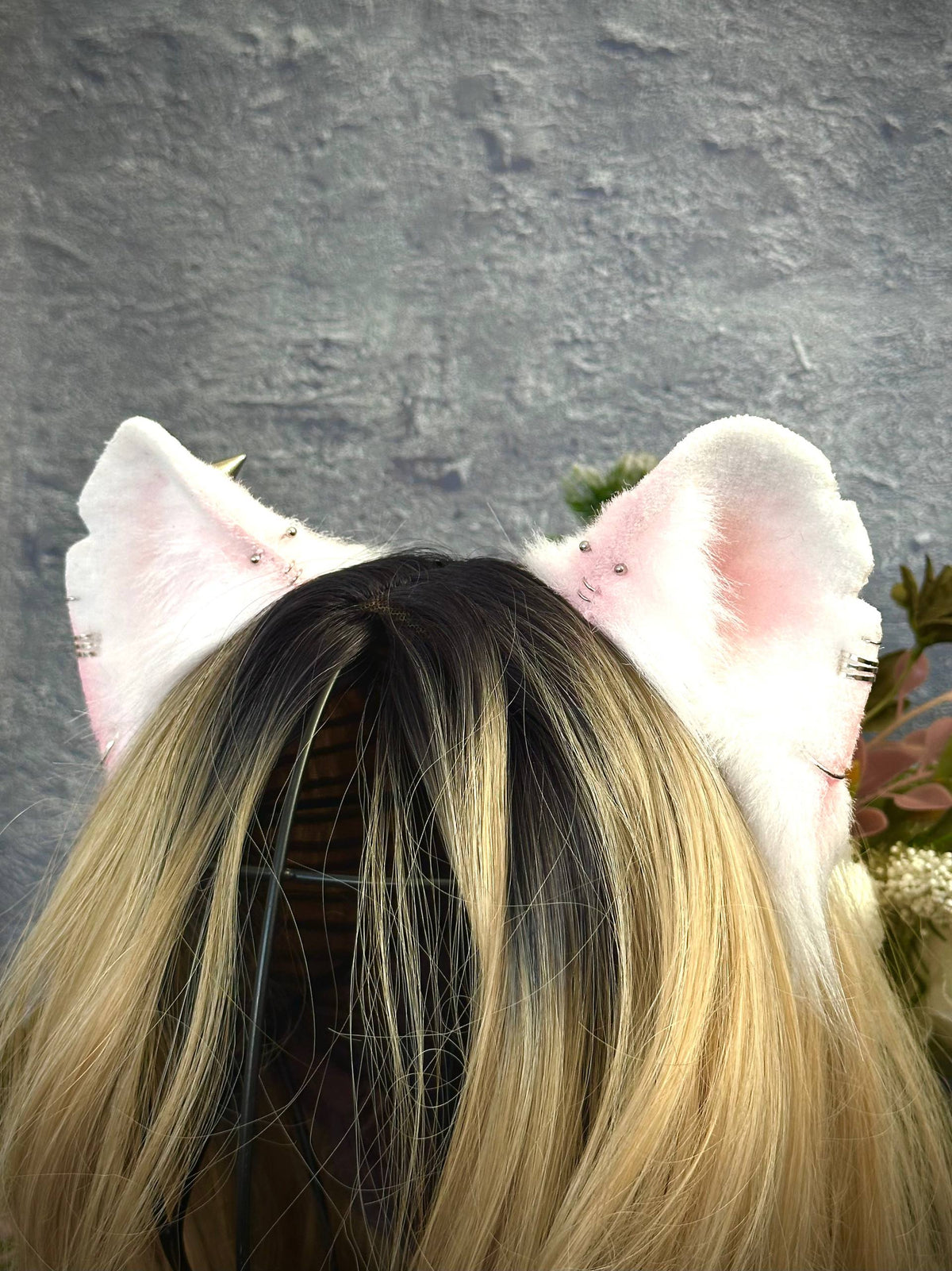 Albino Rat Ears RFS