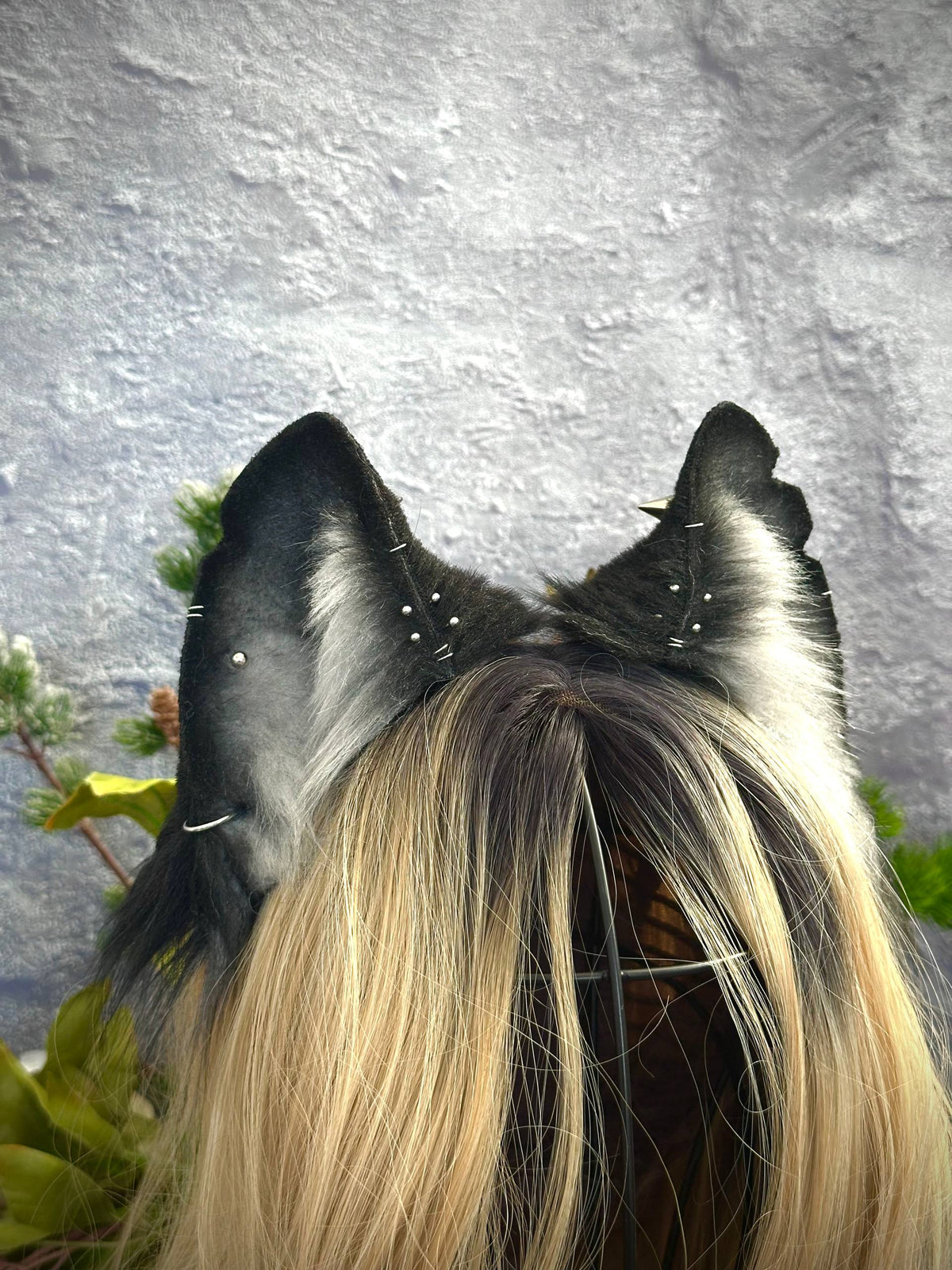 Bad Wolf Ears RFS