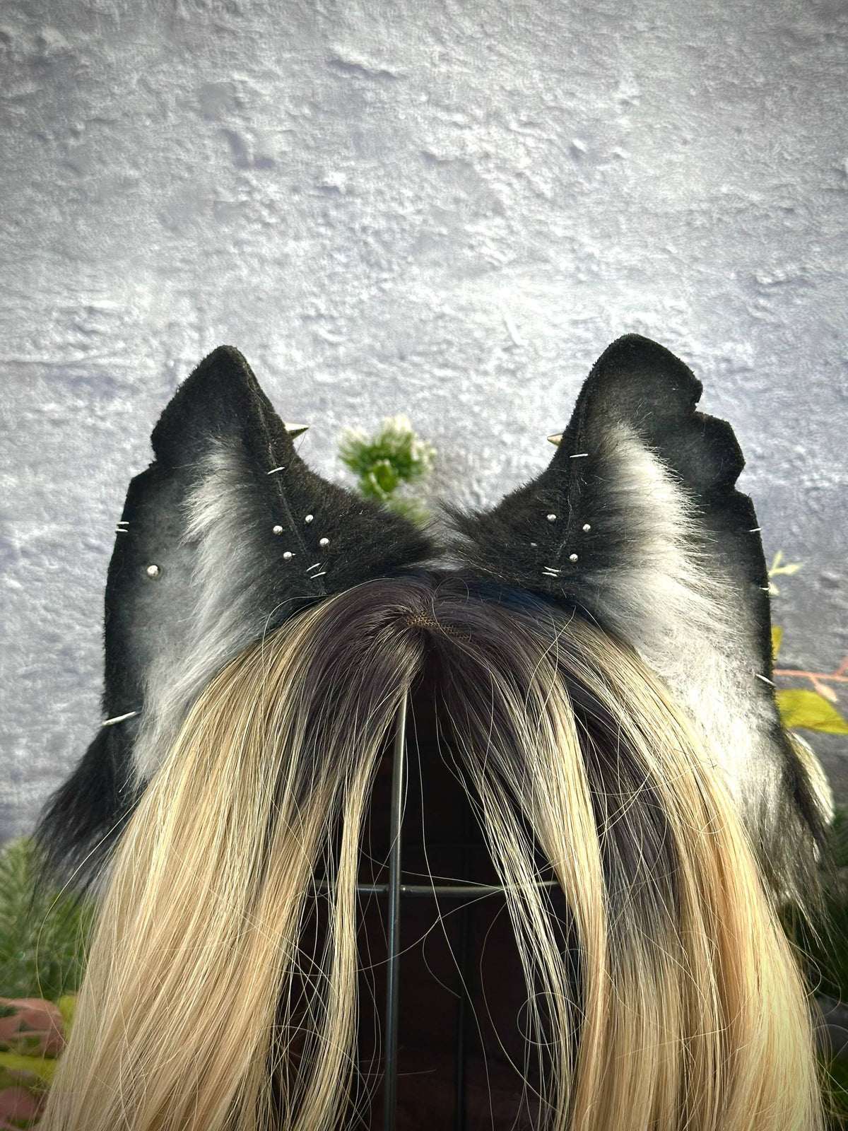 Bad Wolf Ears RFS
