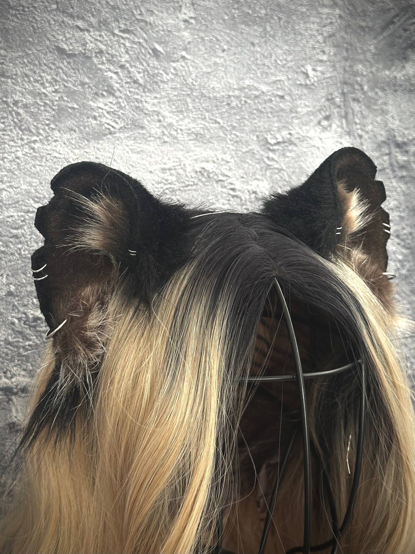 Ferret Ears RFS