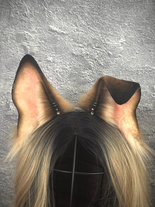 Caramel Puppy Ears RFS