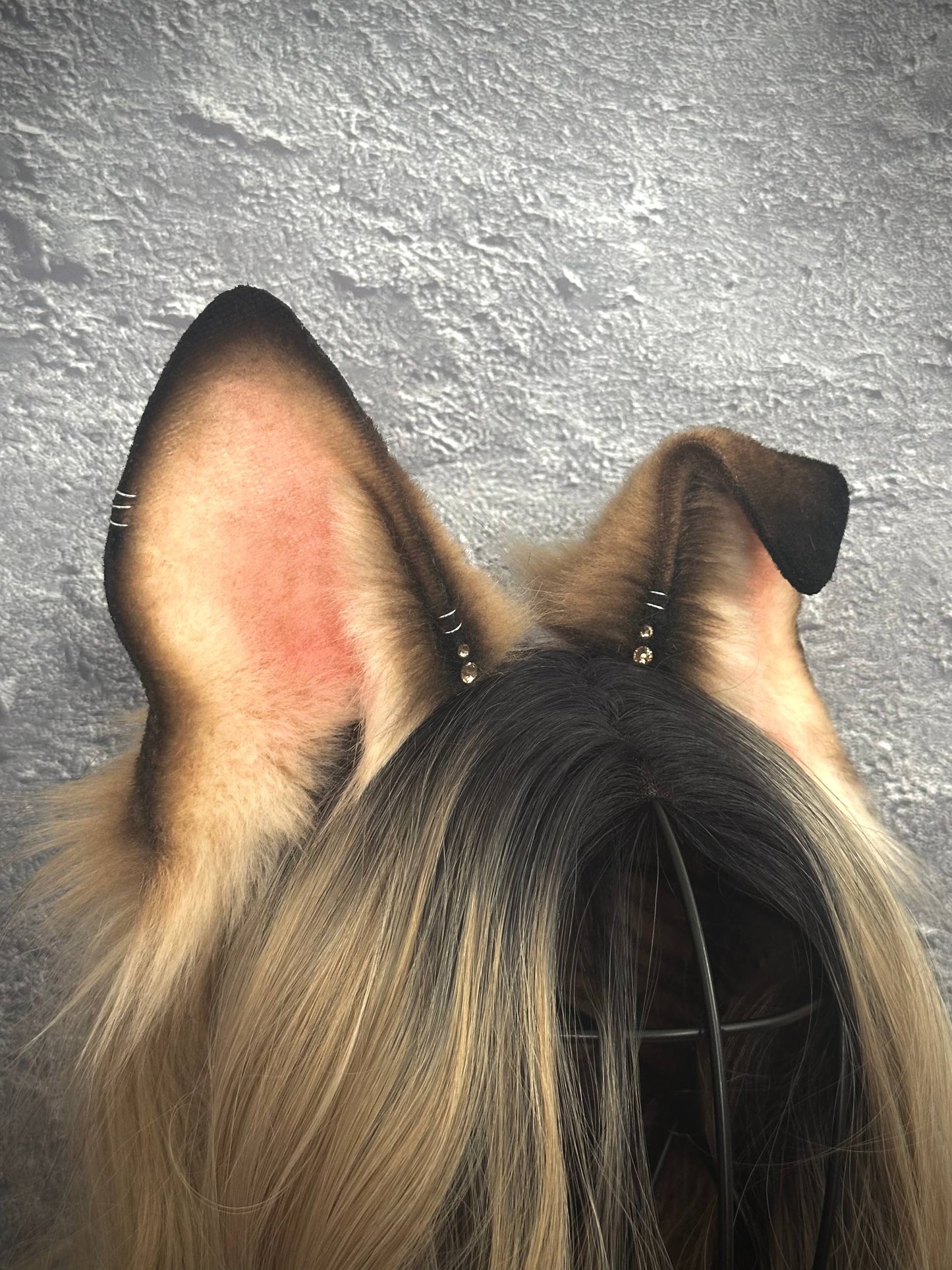Caramel Puppy Ears RFS