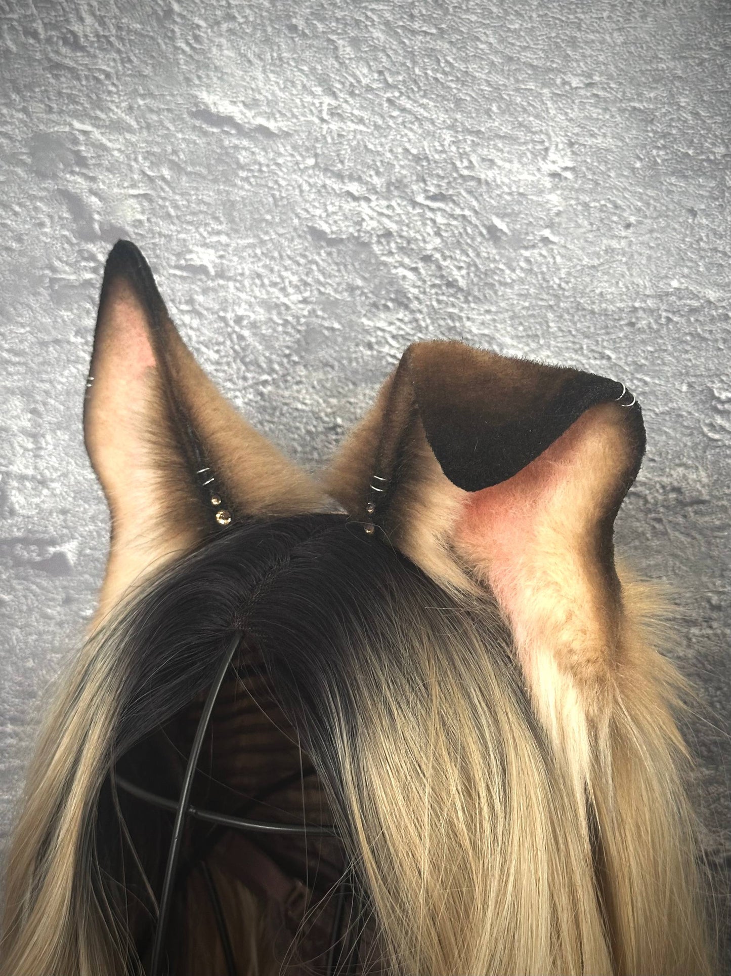 Caramel Puppy Ears RFS