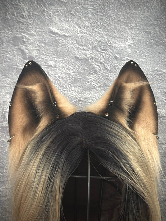 Caramel Fox Ears RFS