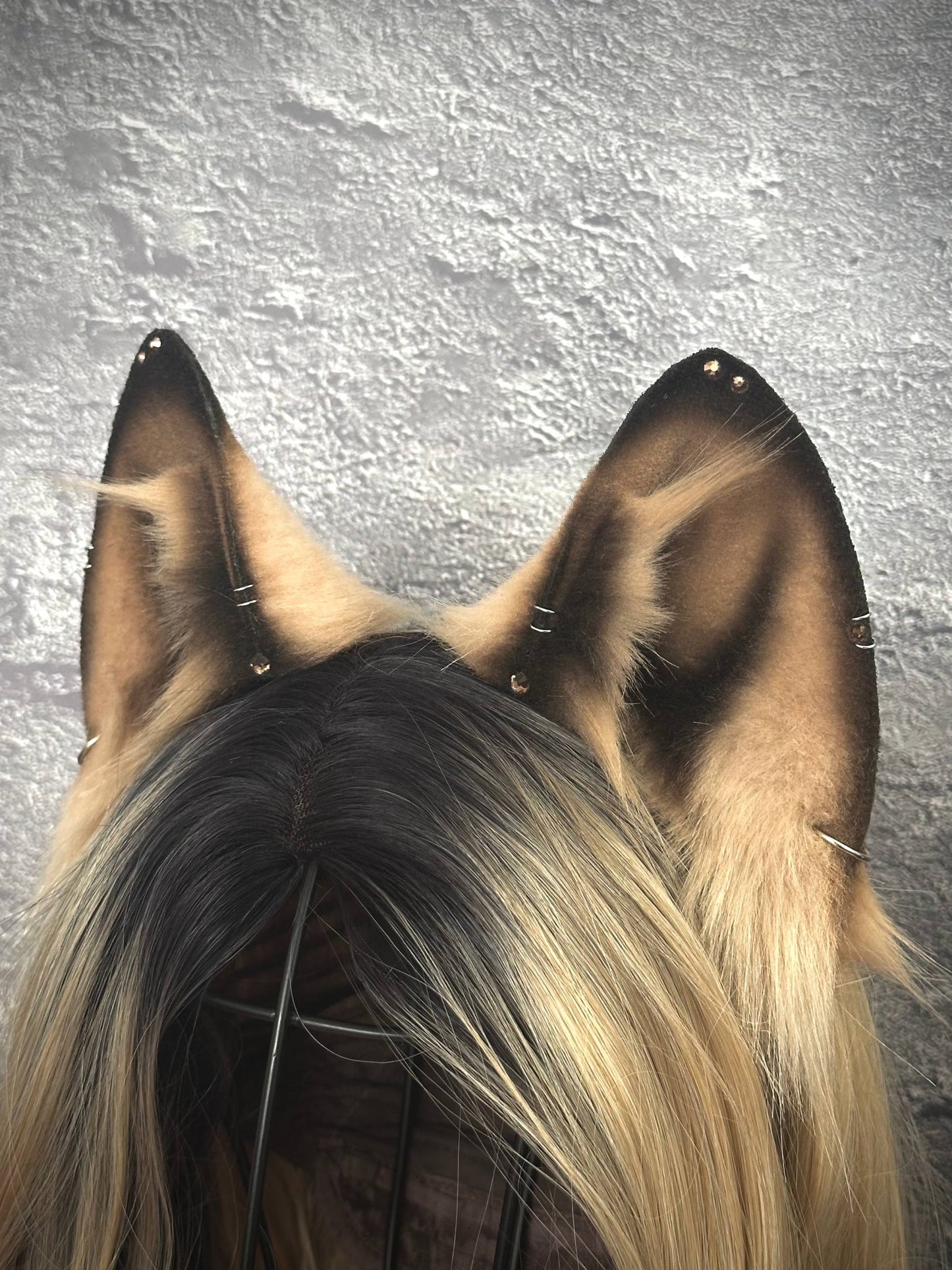 Caramel Fox Ears RFS