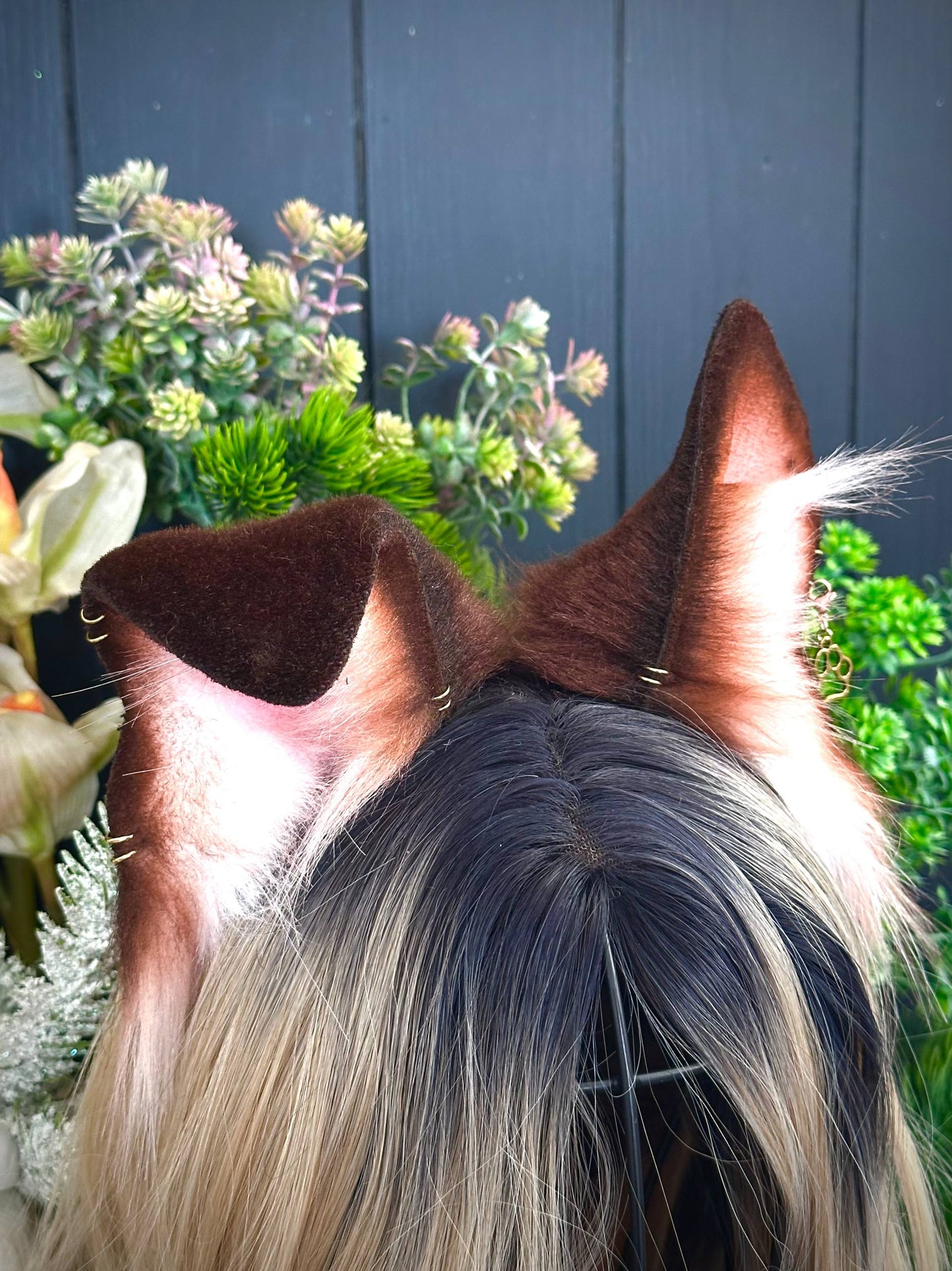 Brown Puppy Ears RFS