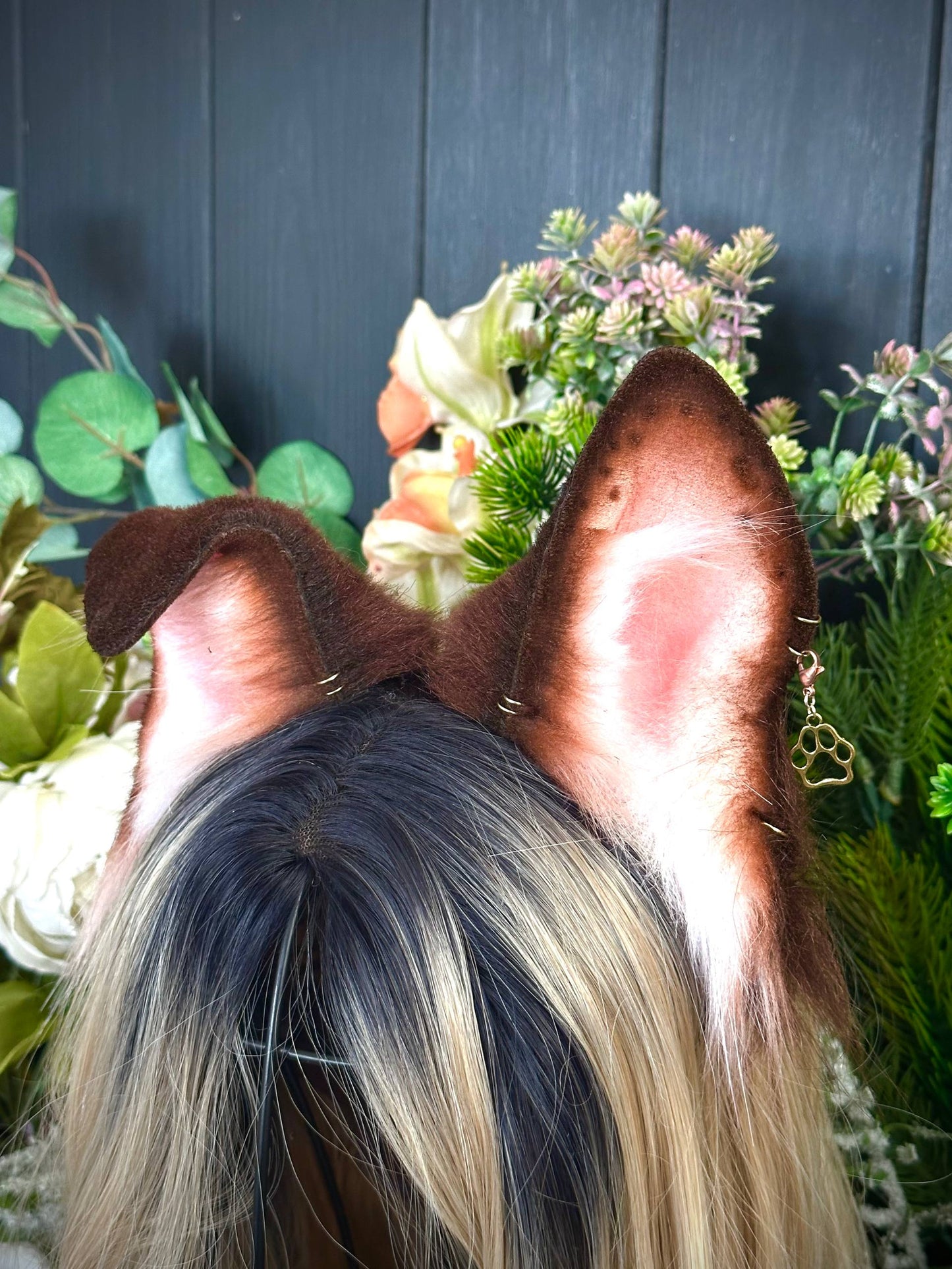 Brown Puppy Ears RFS