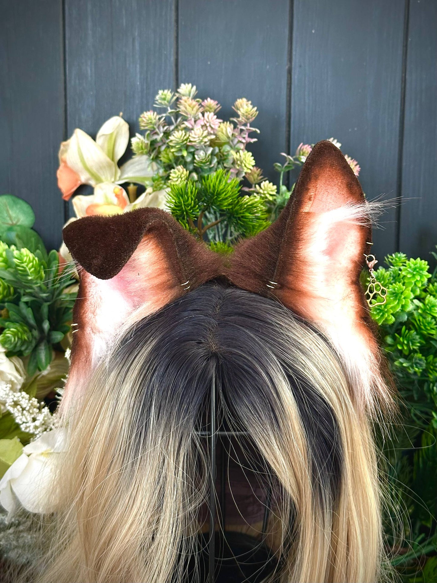 Brown Puppy Ears RFS