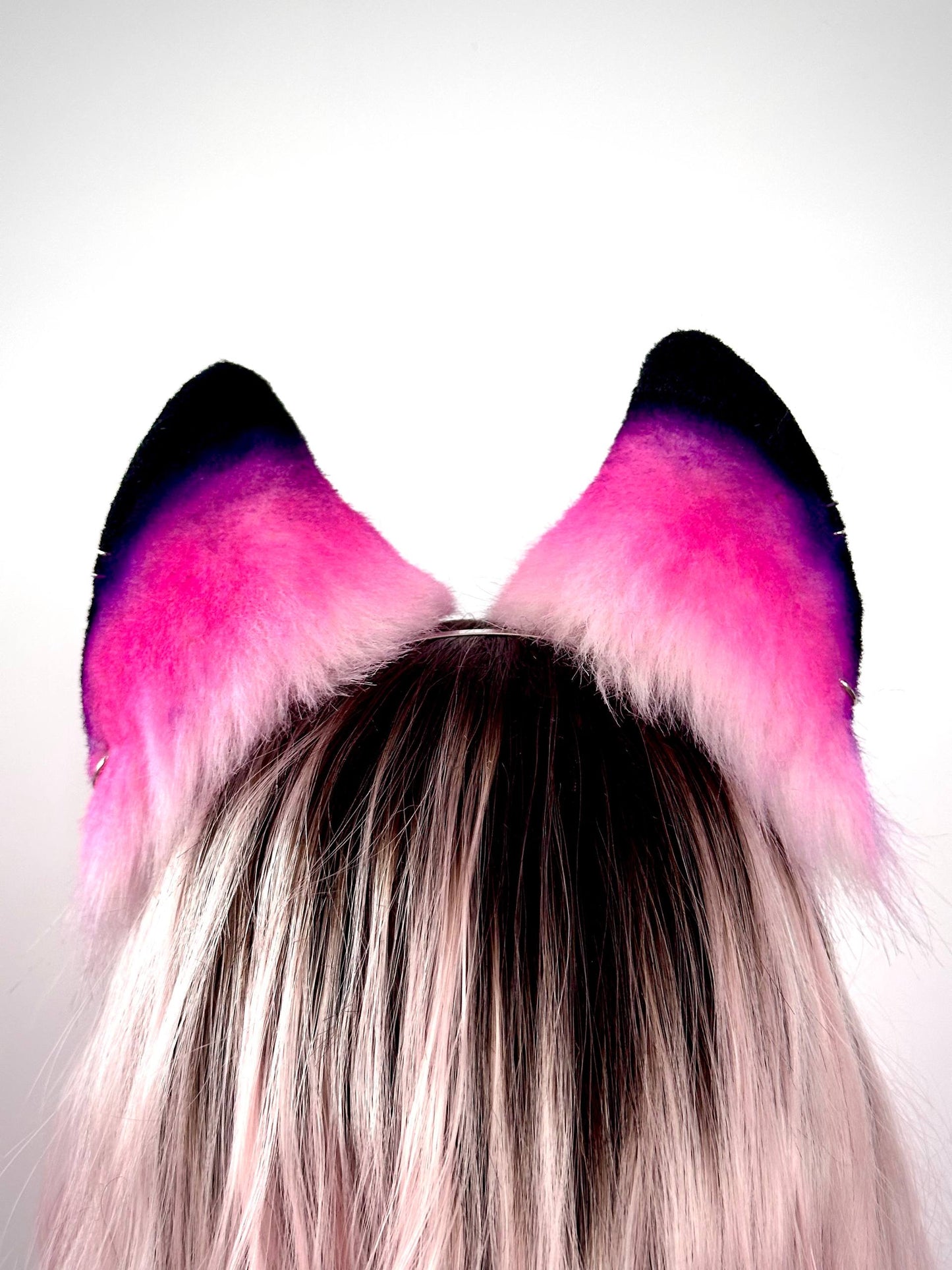 Galaxy Fox Ears RFS