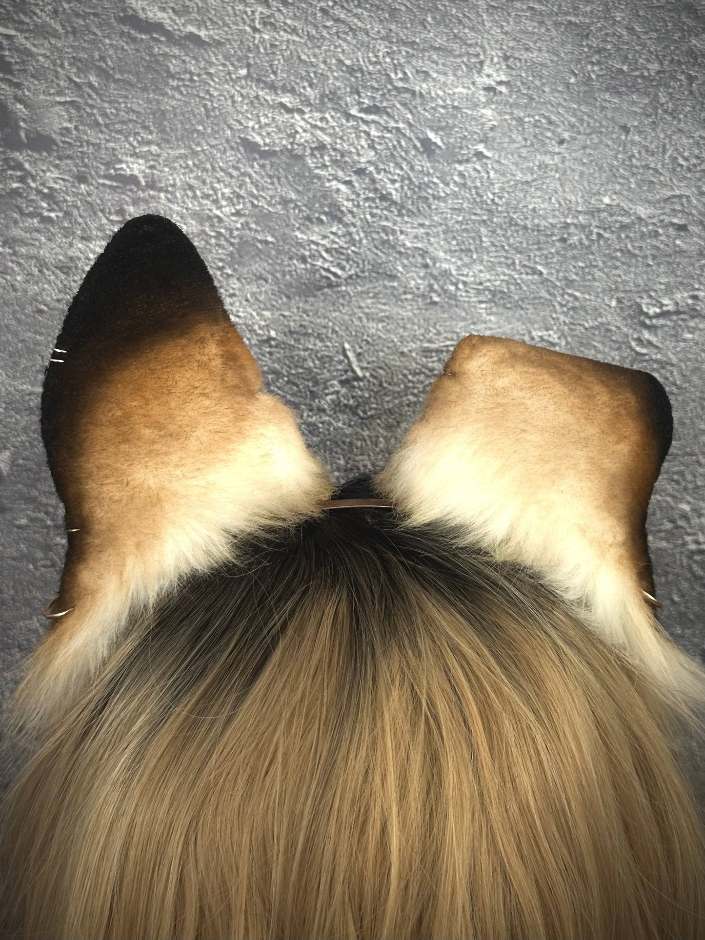 Caramel Puppy Ears RFS