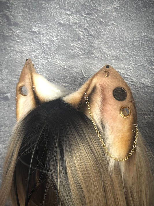 Golden Cat Ears RFS