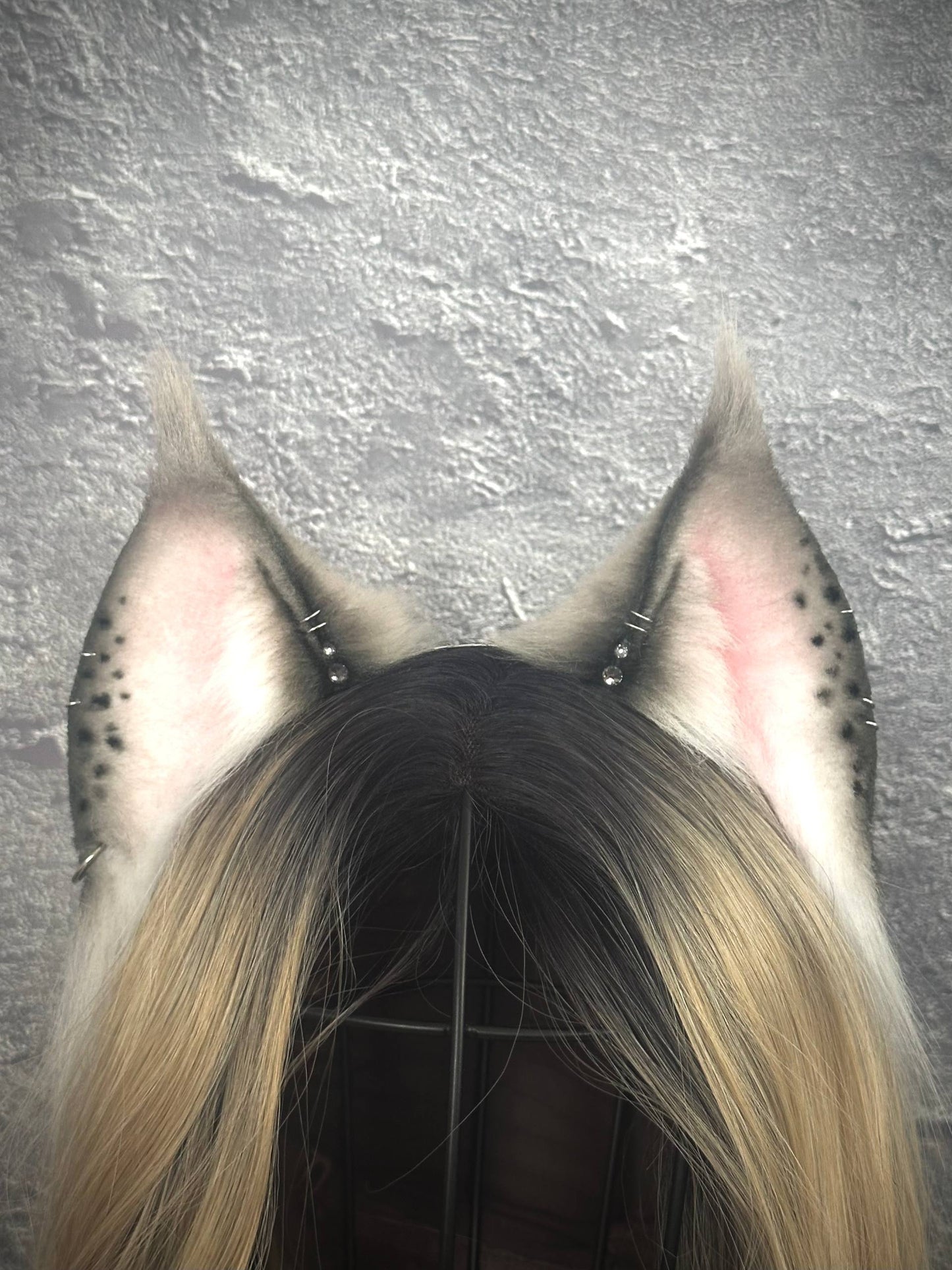 Grey Lynx Ears RFS