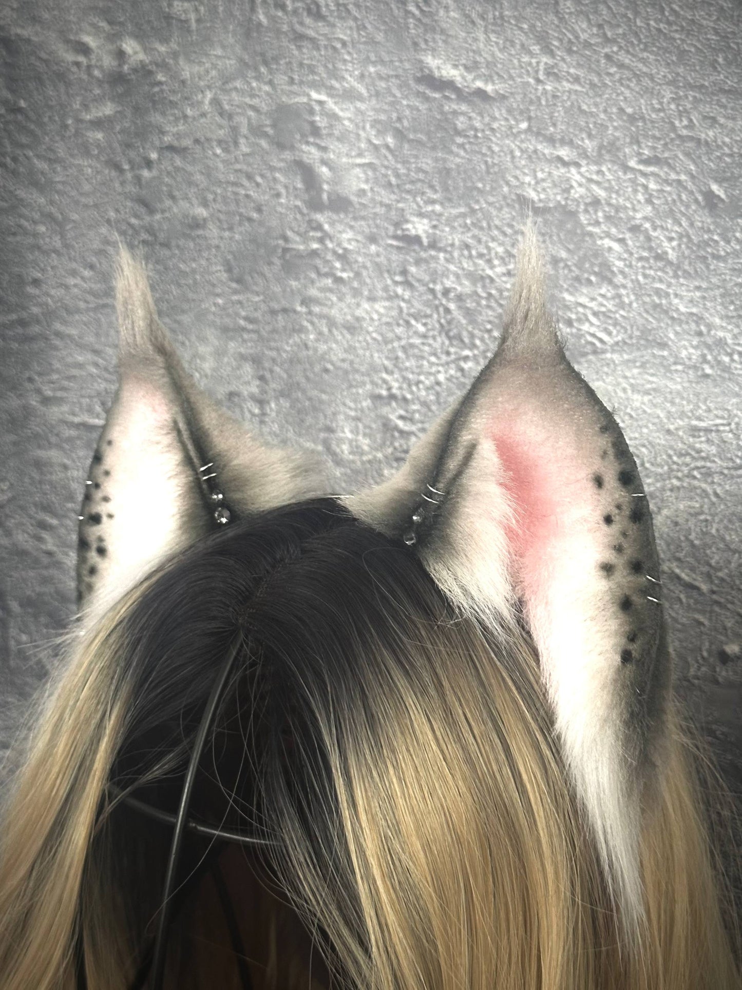Grey Lynx Ears RFS