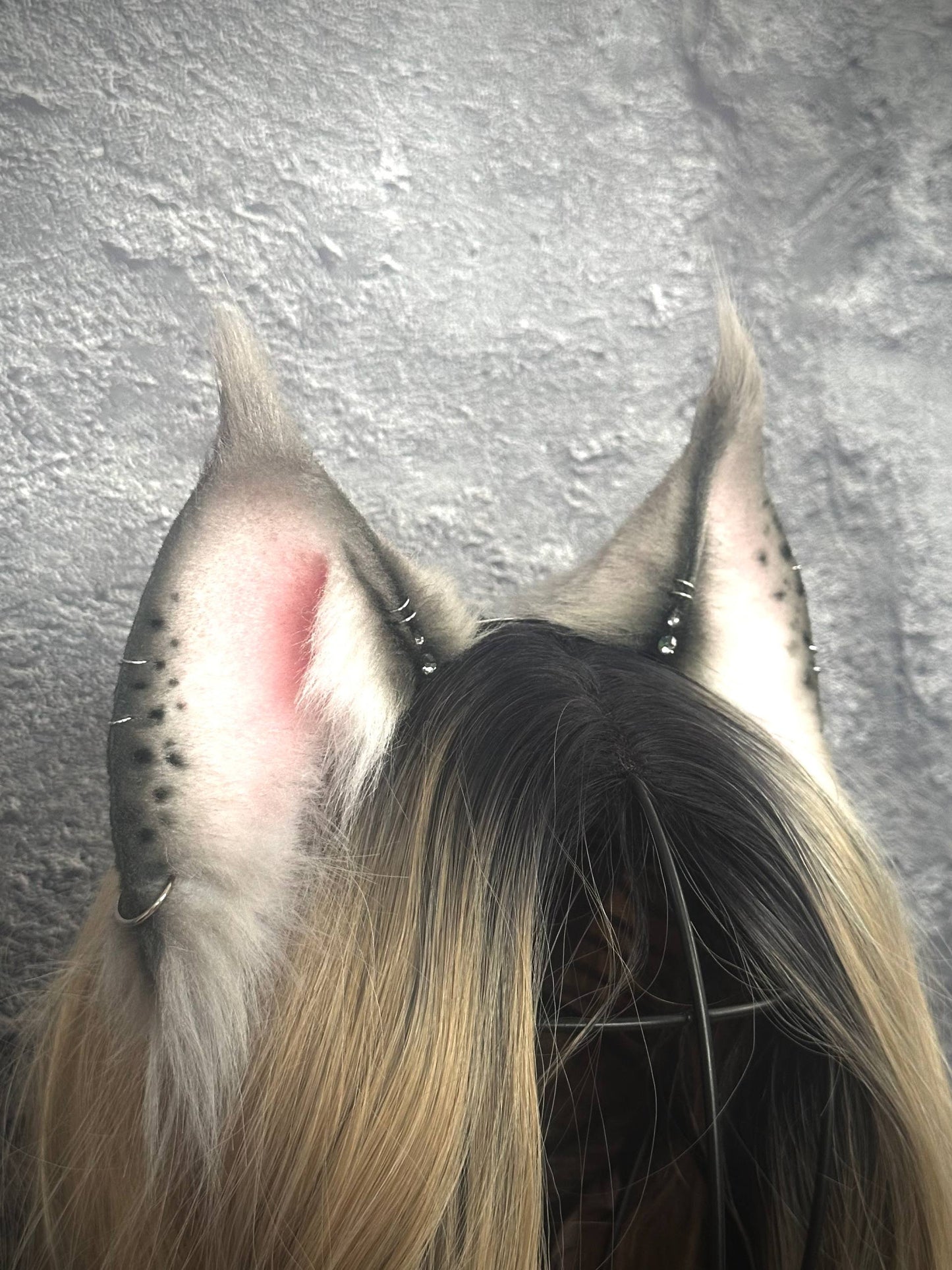 Grey Lynx Ears RFS
