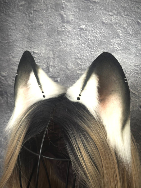 Polar Fox Ears RFS