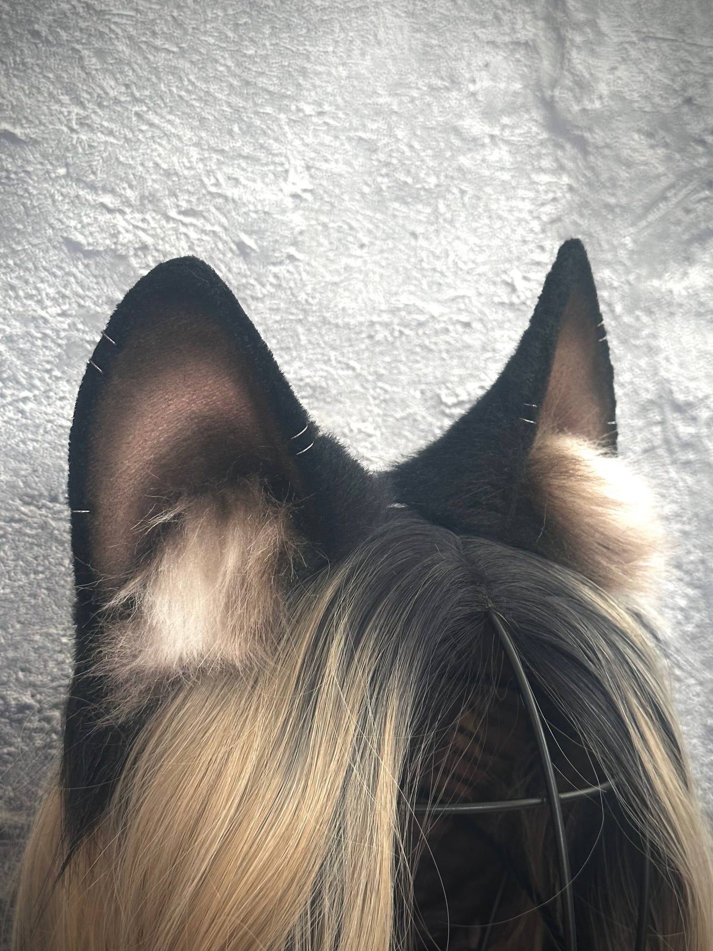 Black Fox Ears RFS