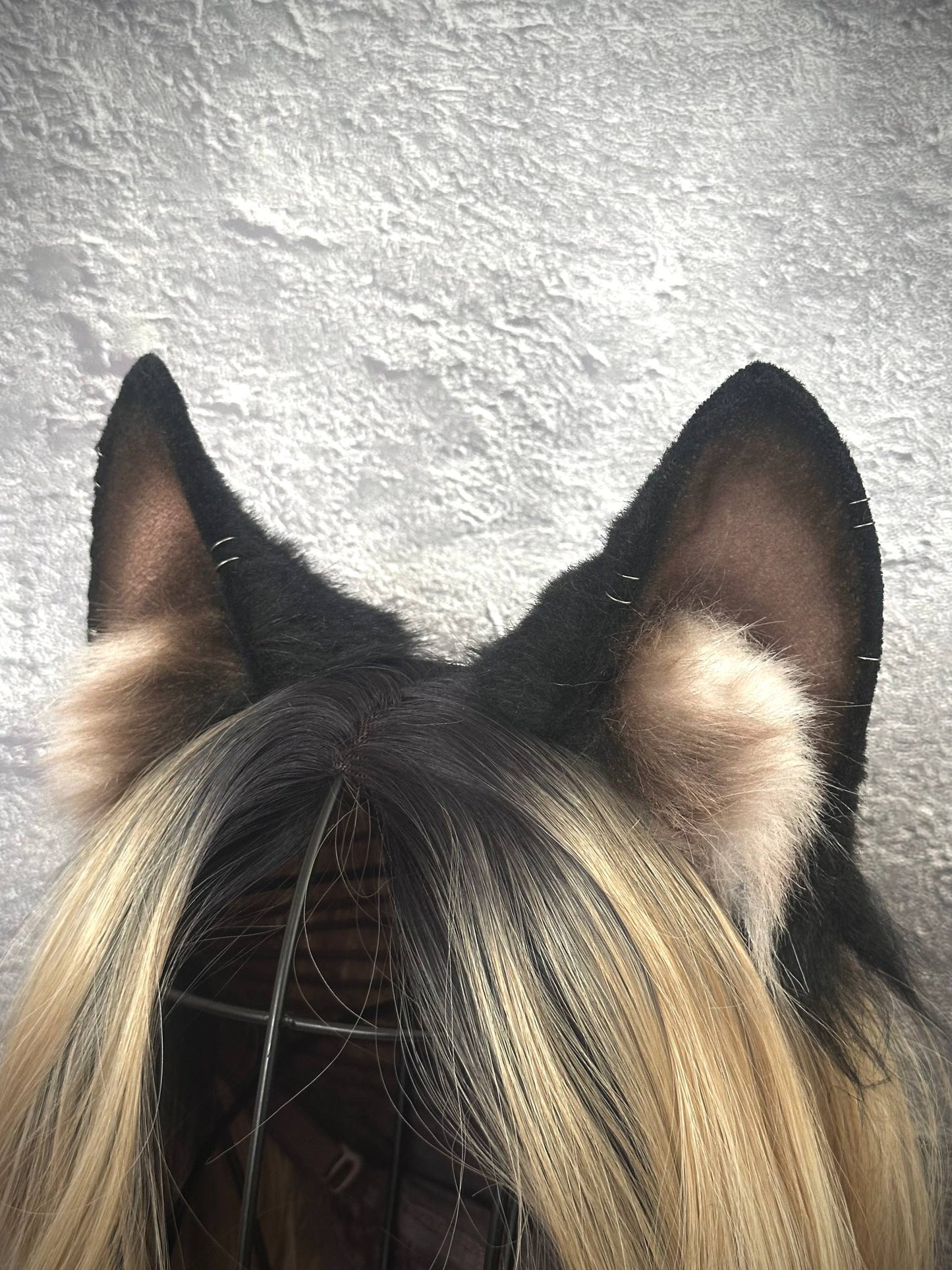Black Fox Ears RFS
