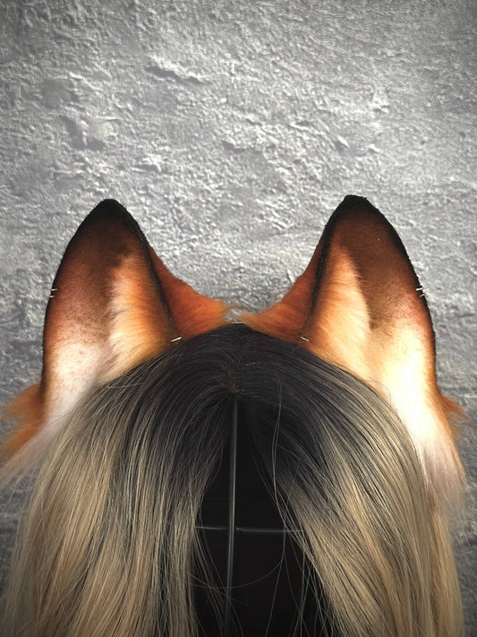 Red Fox Cub Ears RFS