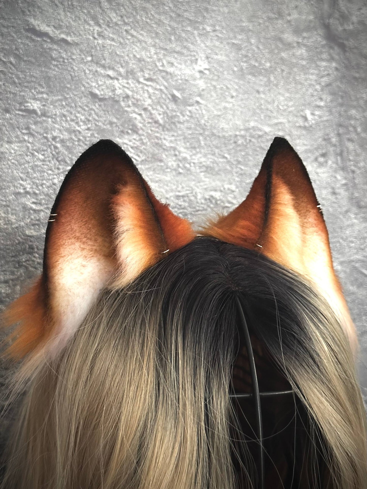 Red Fox Cub Ears RFS