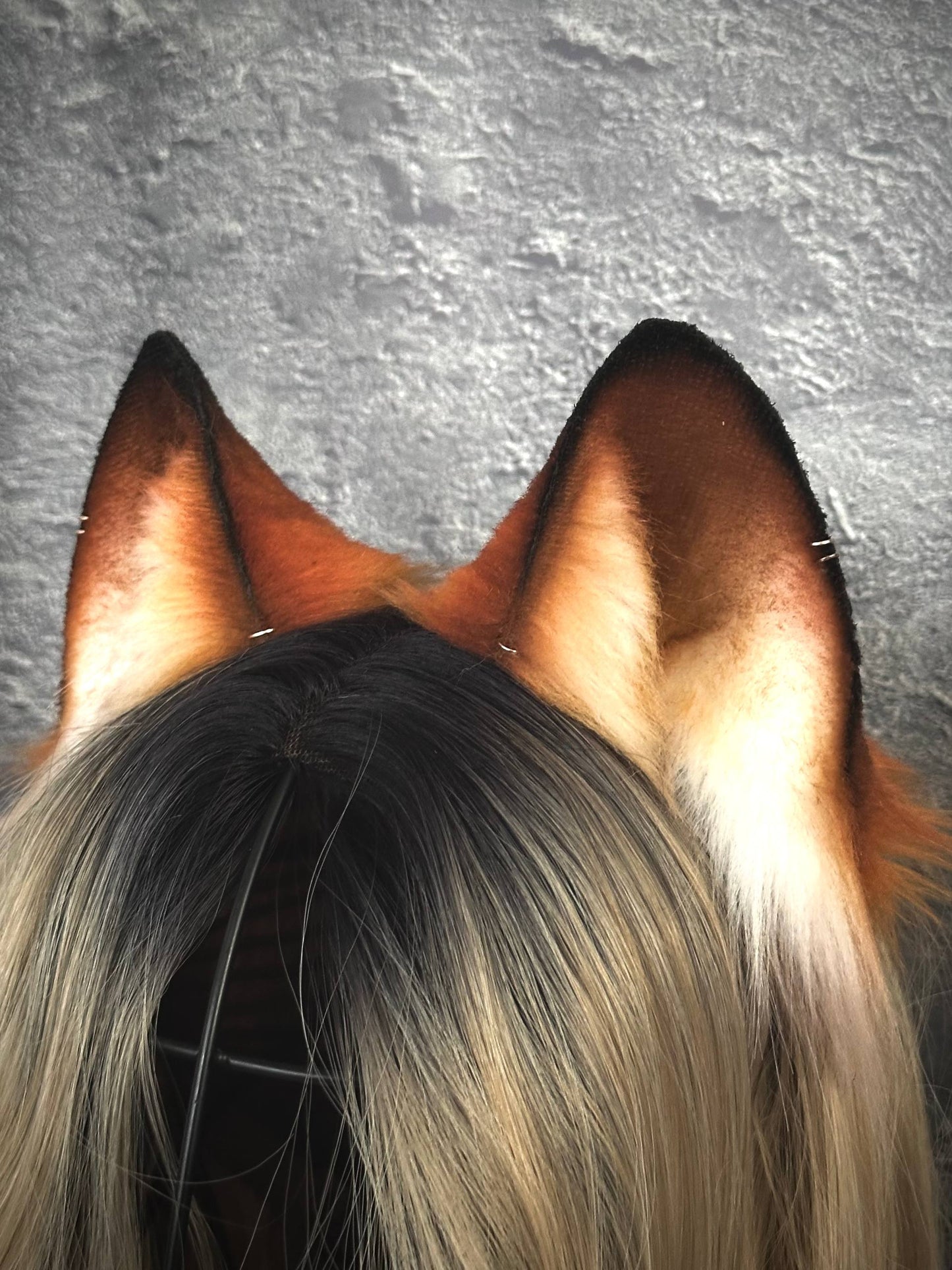 Red Fox Cub Ears RFS