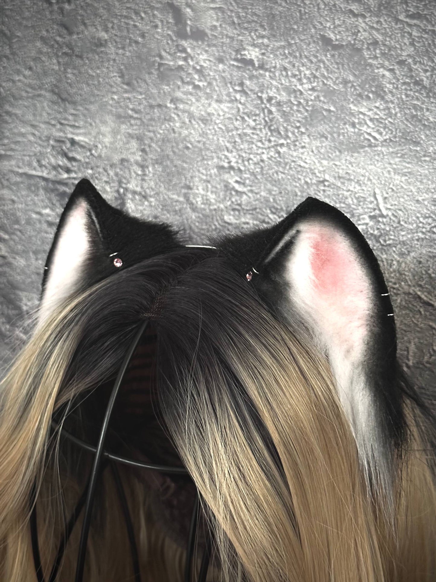 Tuxedo Mini Kitten Ears