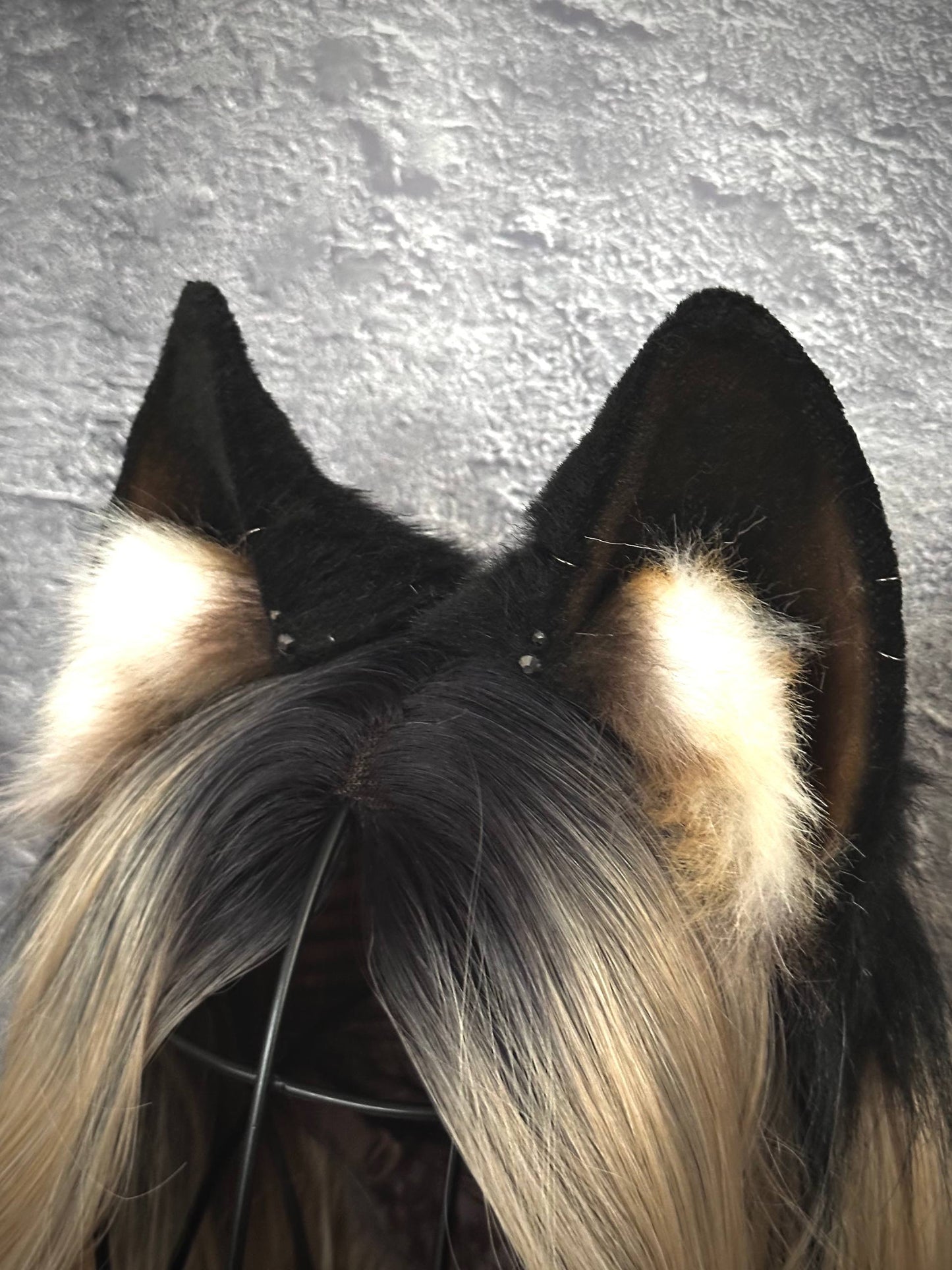 Black Fox Ears RFS