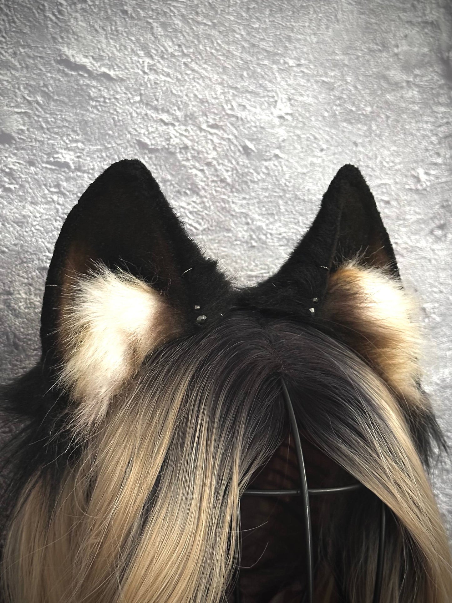 Black Fox Ears RFS