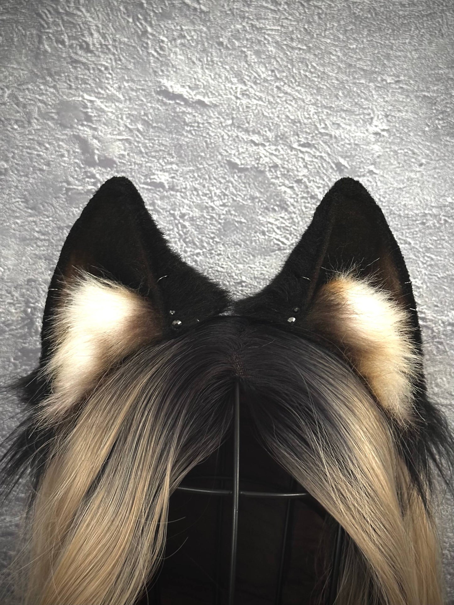 Black Fox Ears RFS
