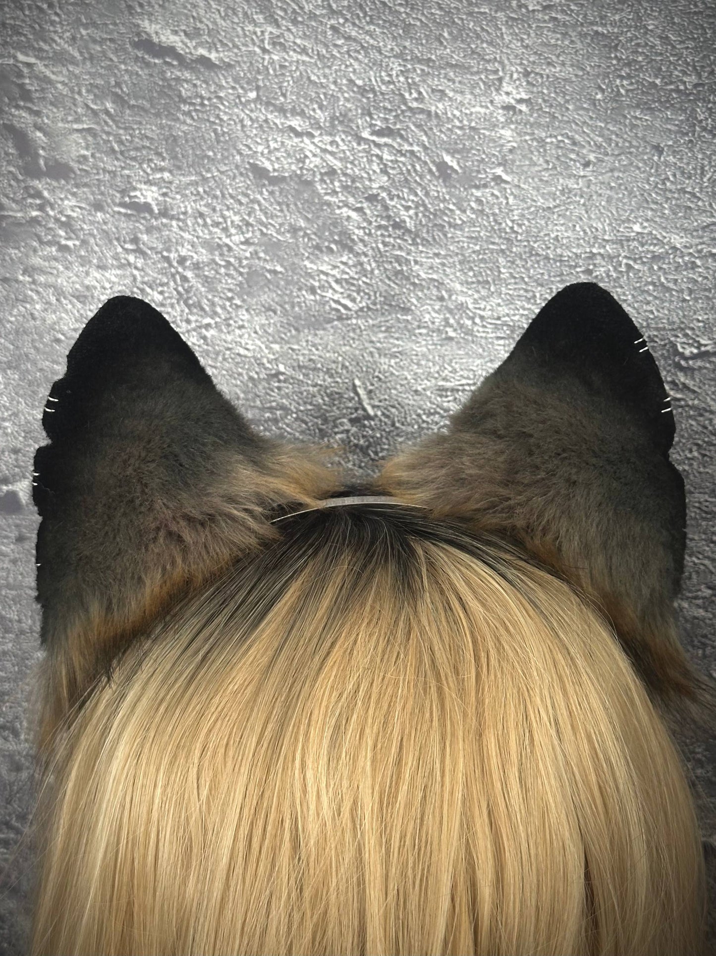 Grey Fox Ears RFS