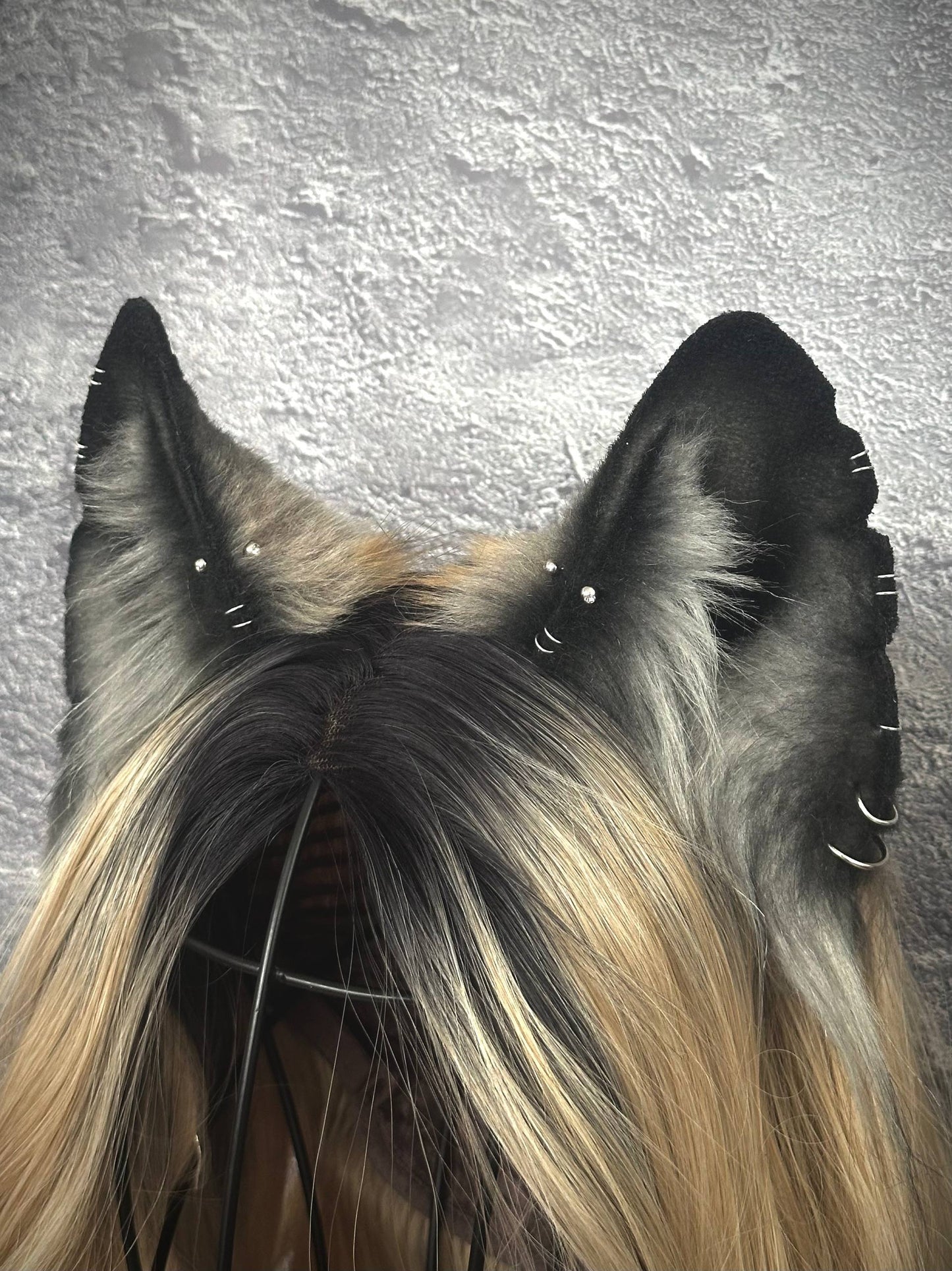 Grey Fox Ears RFS