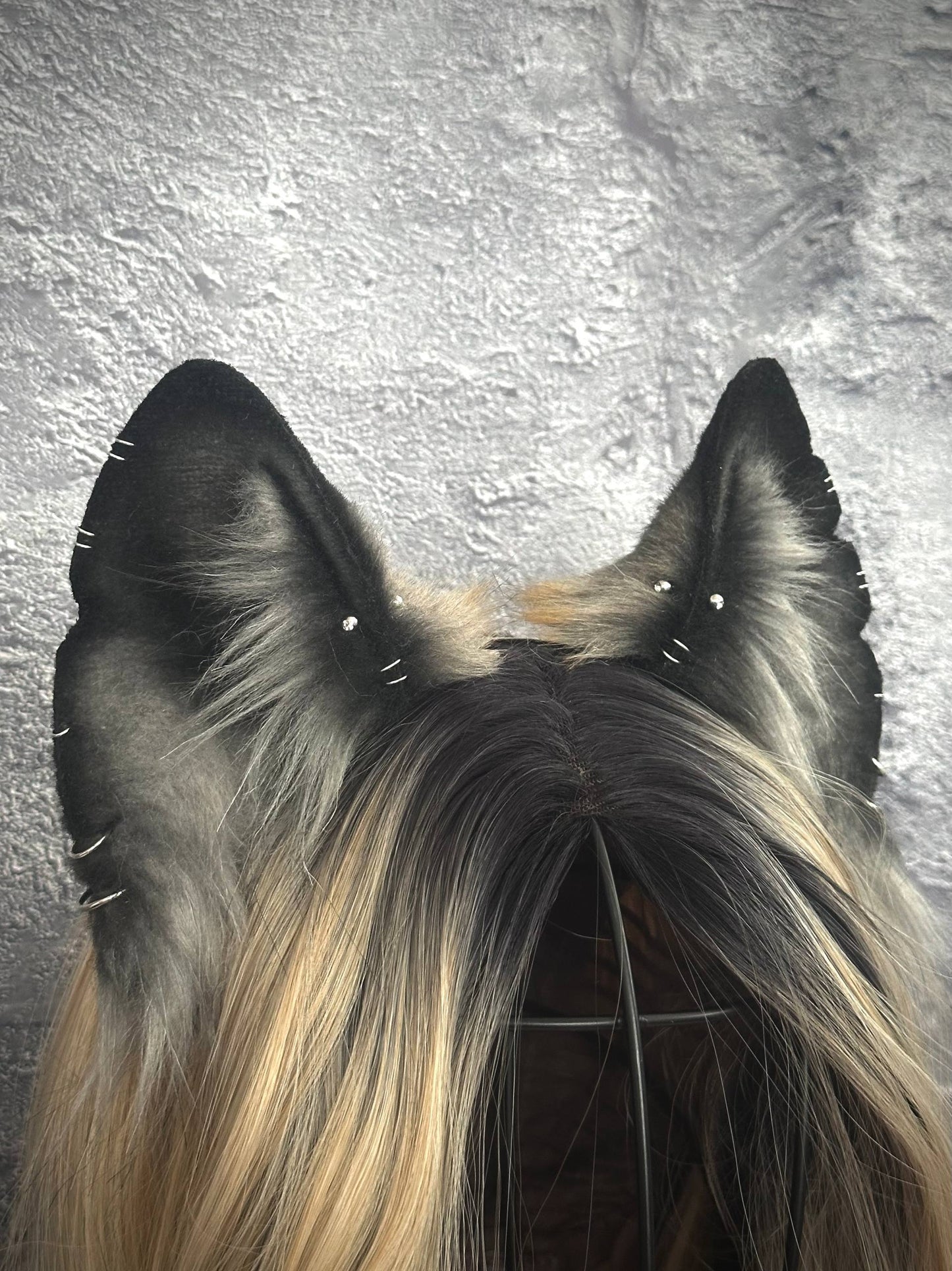 Grey Fox Ears RFS