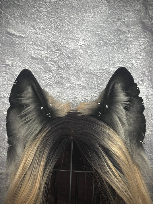 Grey Fox Ears RFS
