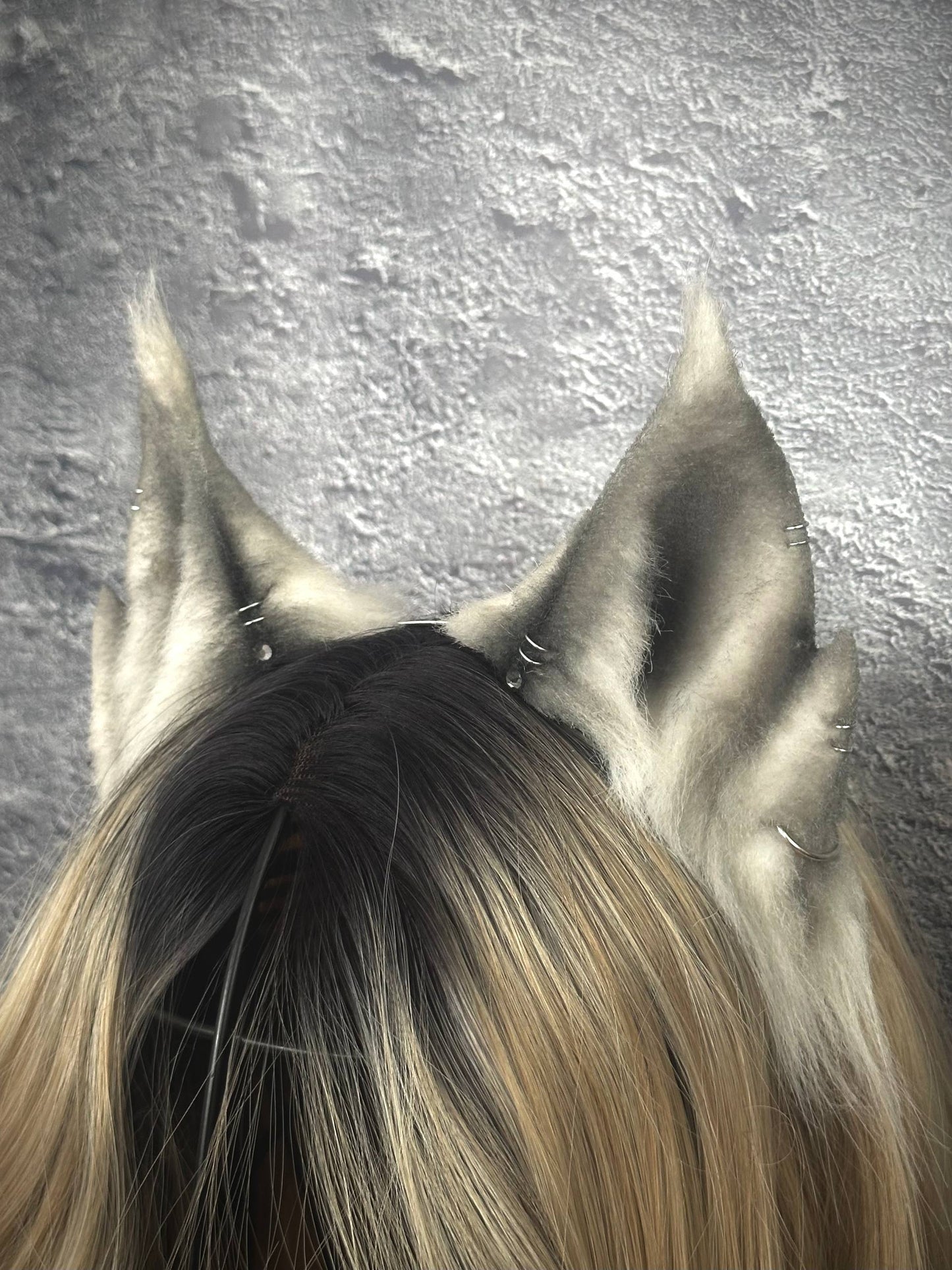 Silver Shadow WereKitten Ears RFS