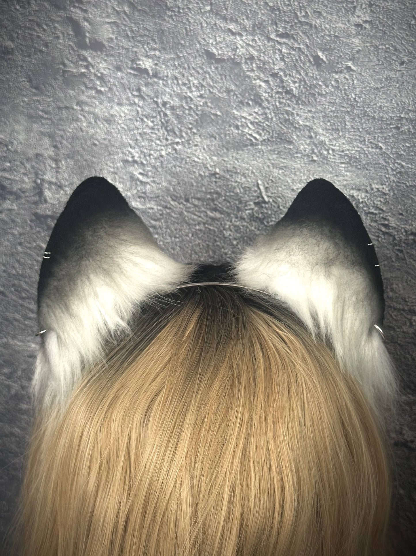 Grey Fox Ears RFS