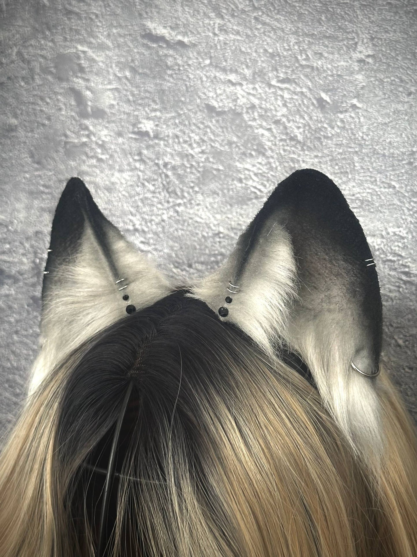 Grey Fox Ears RFS