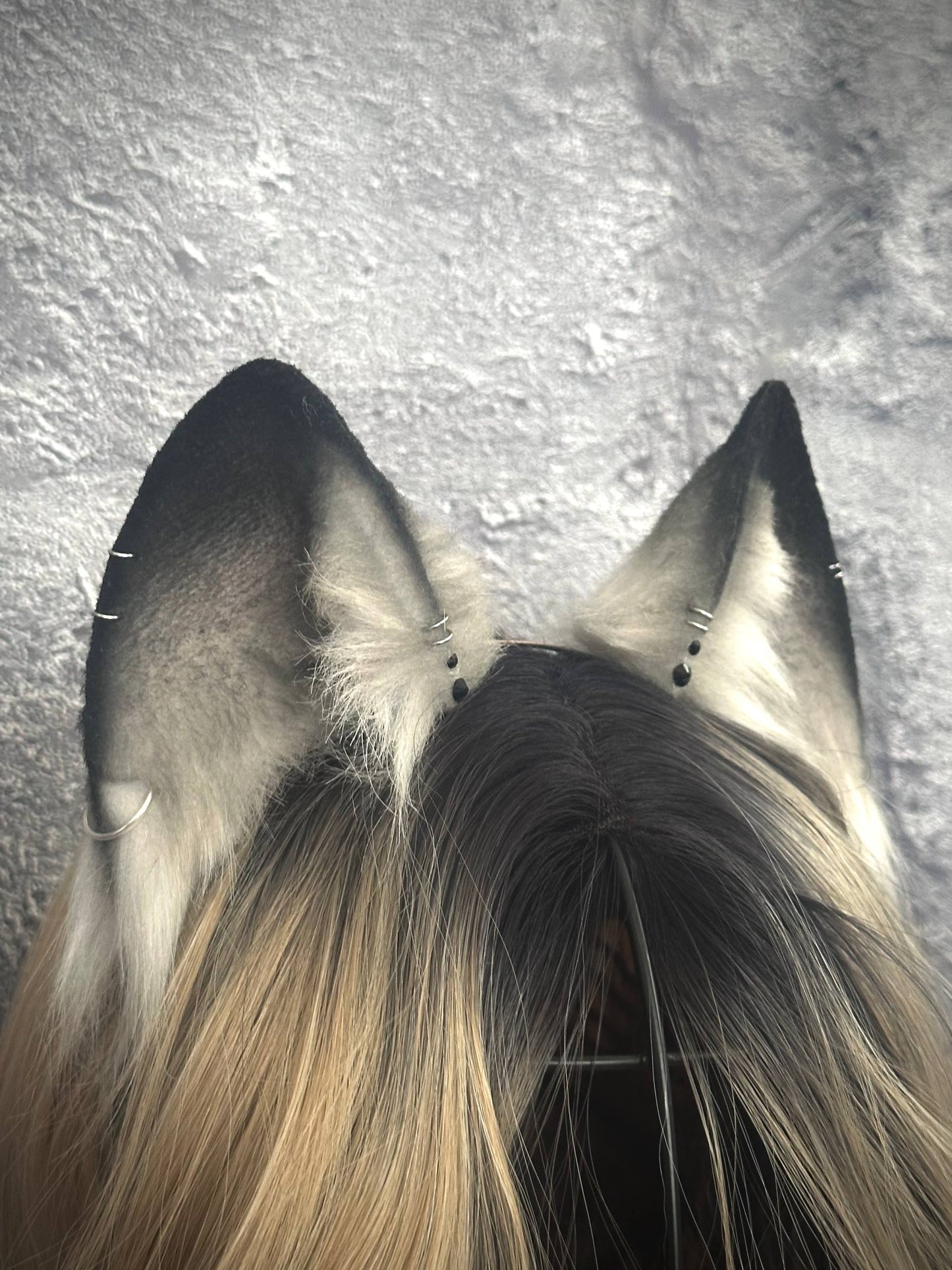 Grey Fox Ears RFS