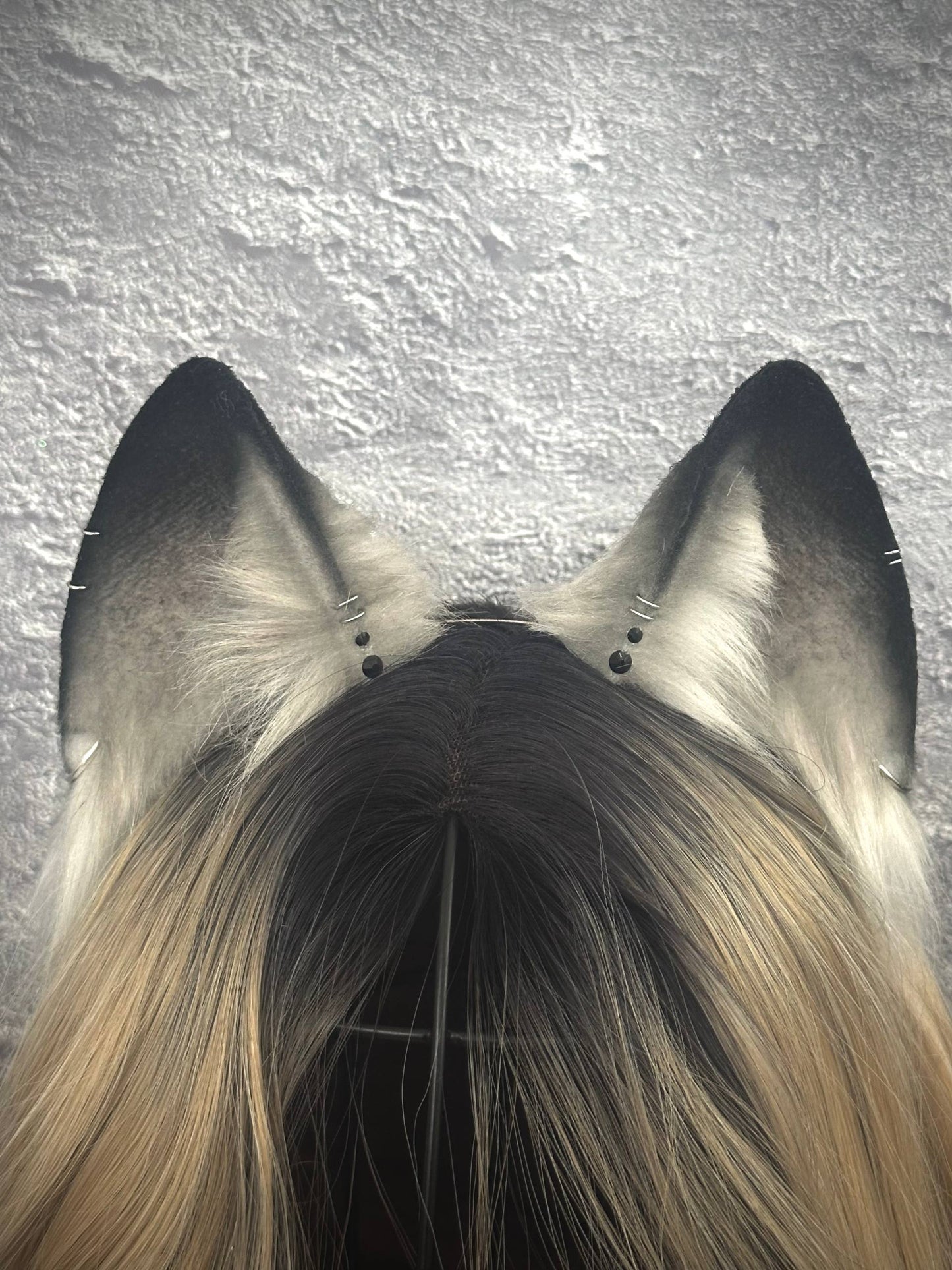 Grey Fox Ears RFS