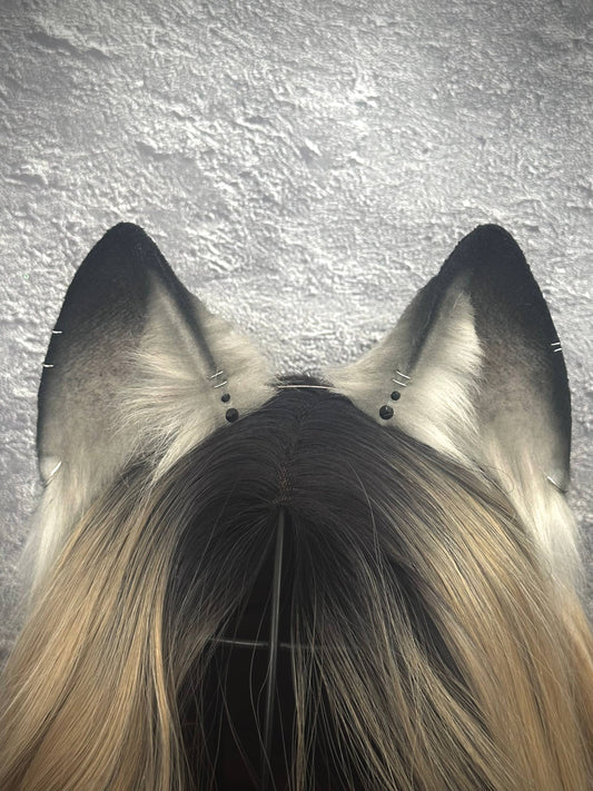 Grey Fox Ears RFS