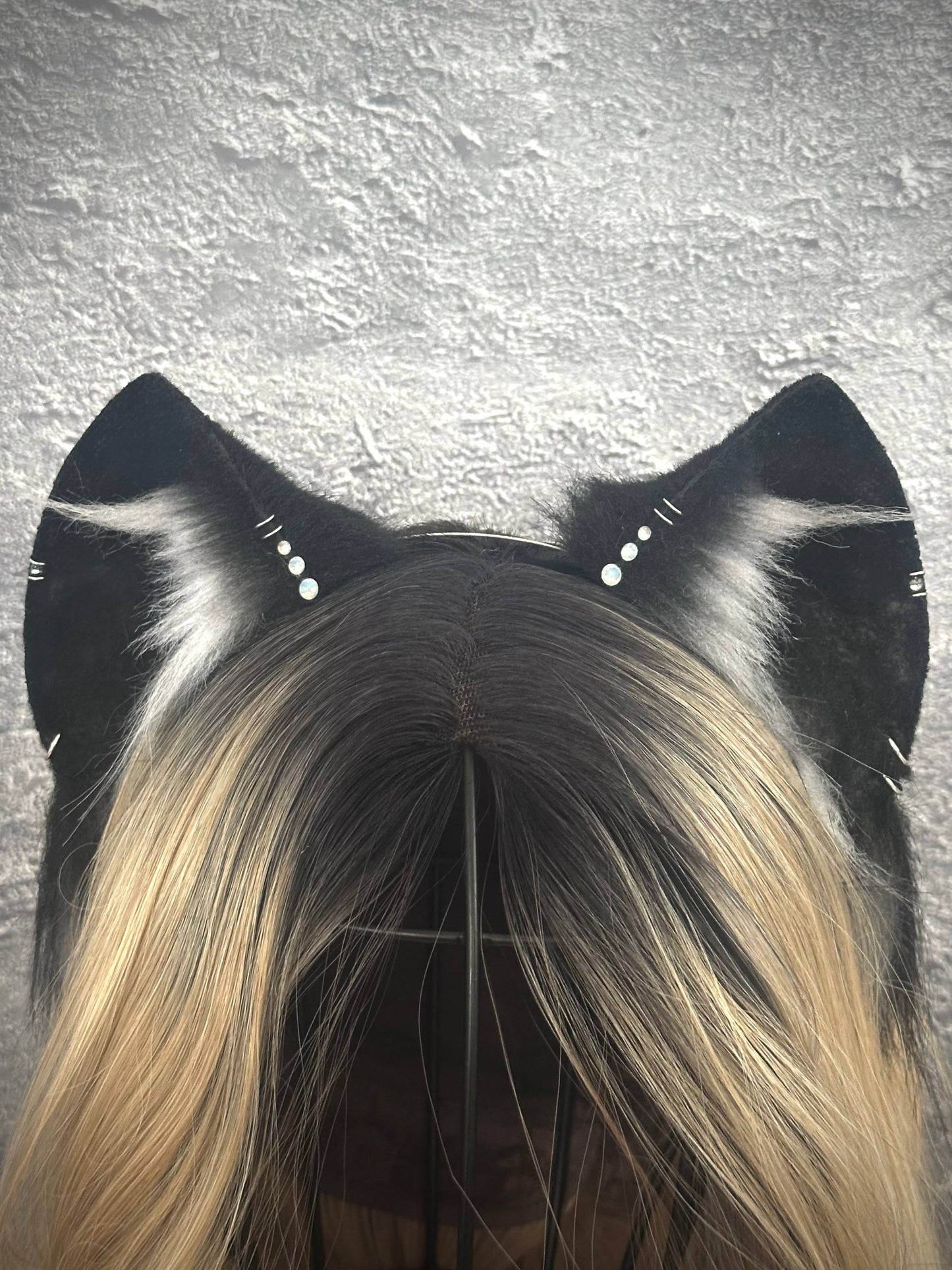 Black Cat Ears RFS