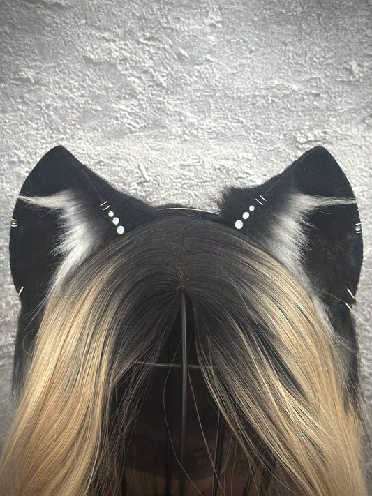Black Cat Ears RFS