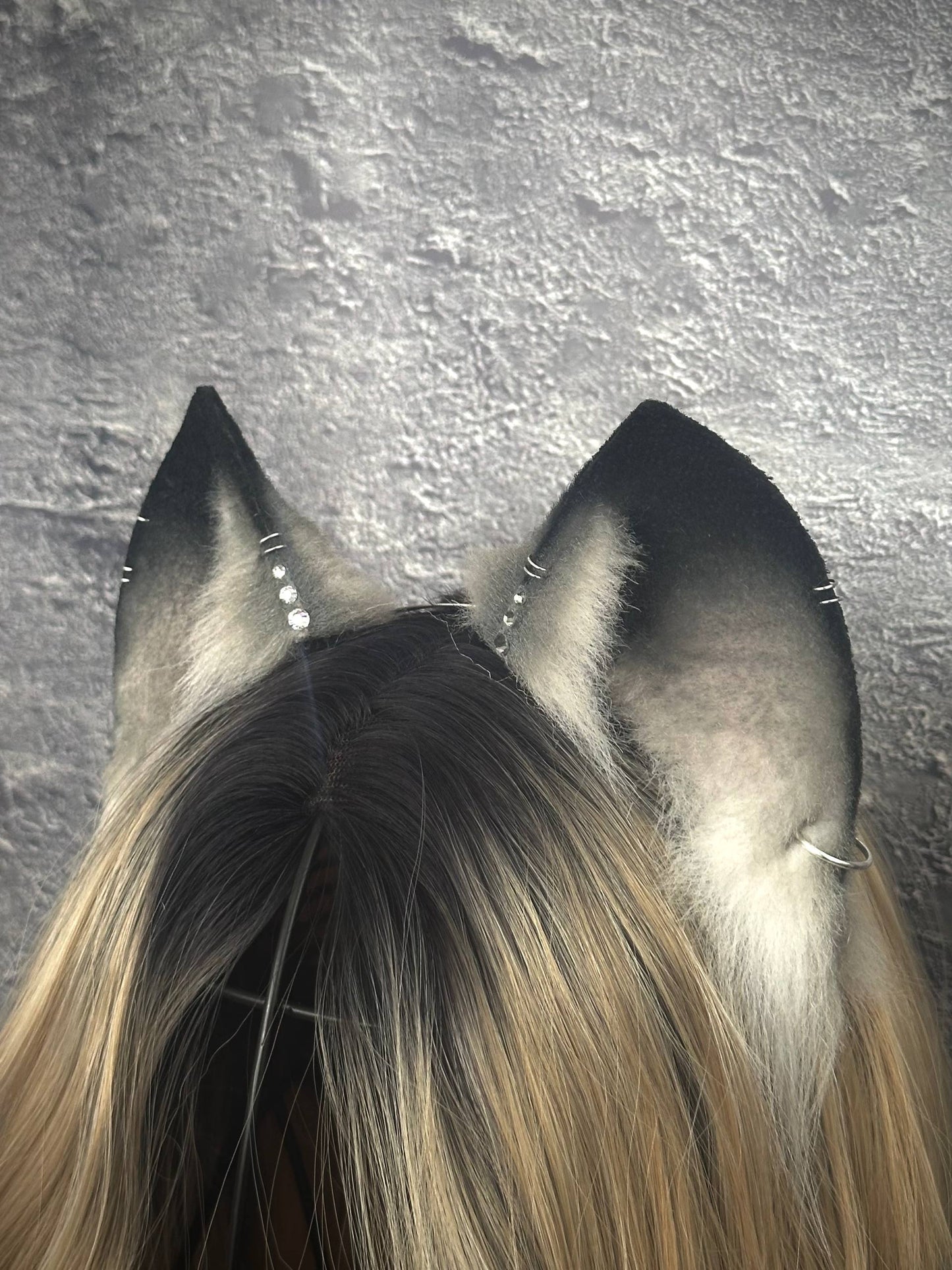 Grey Cat Ears RFS