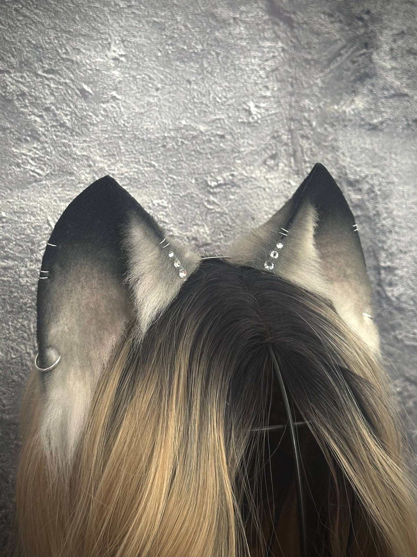 Grey Cat Ears RFS