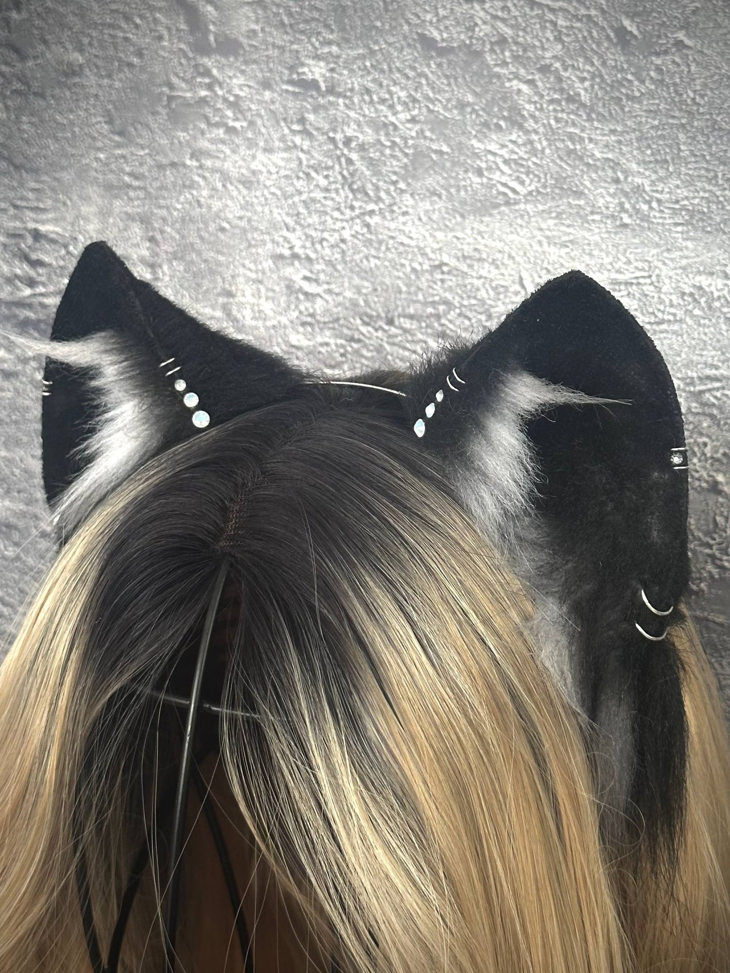 Black Cat Ears RFS