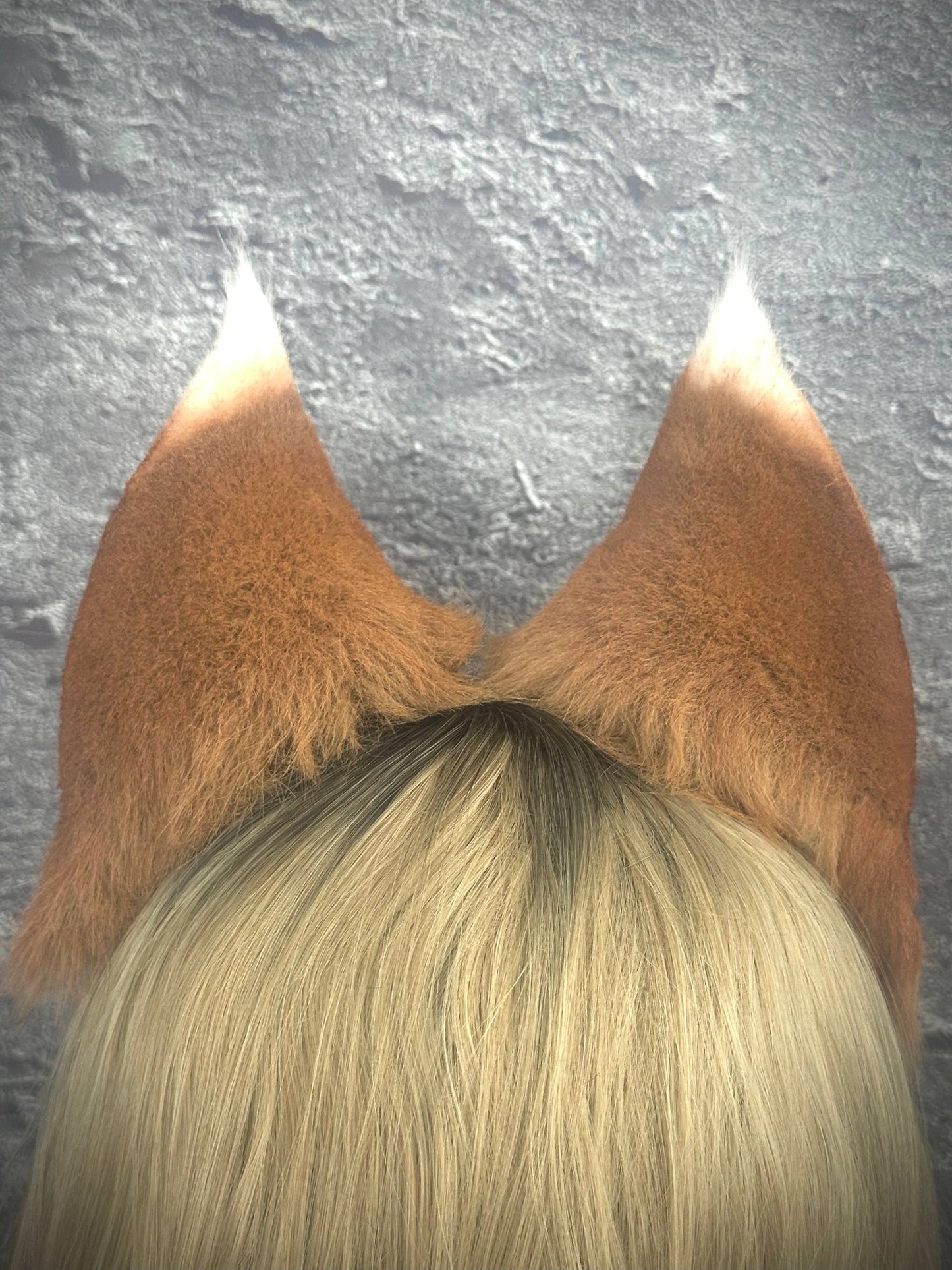 Holo Ears RFS