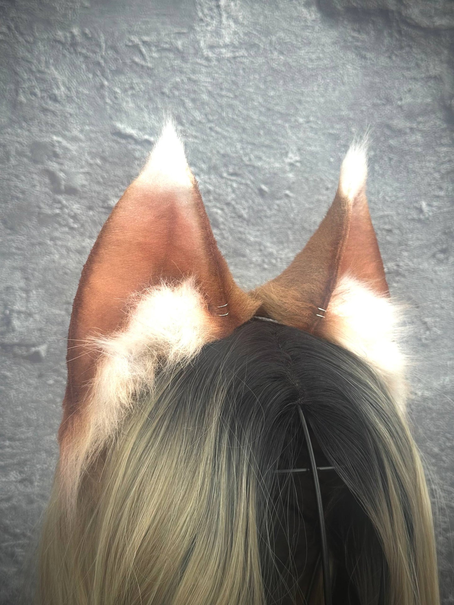 Holo Ears RFS