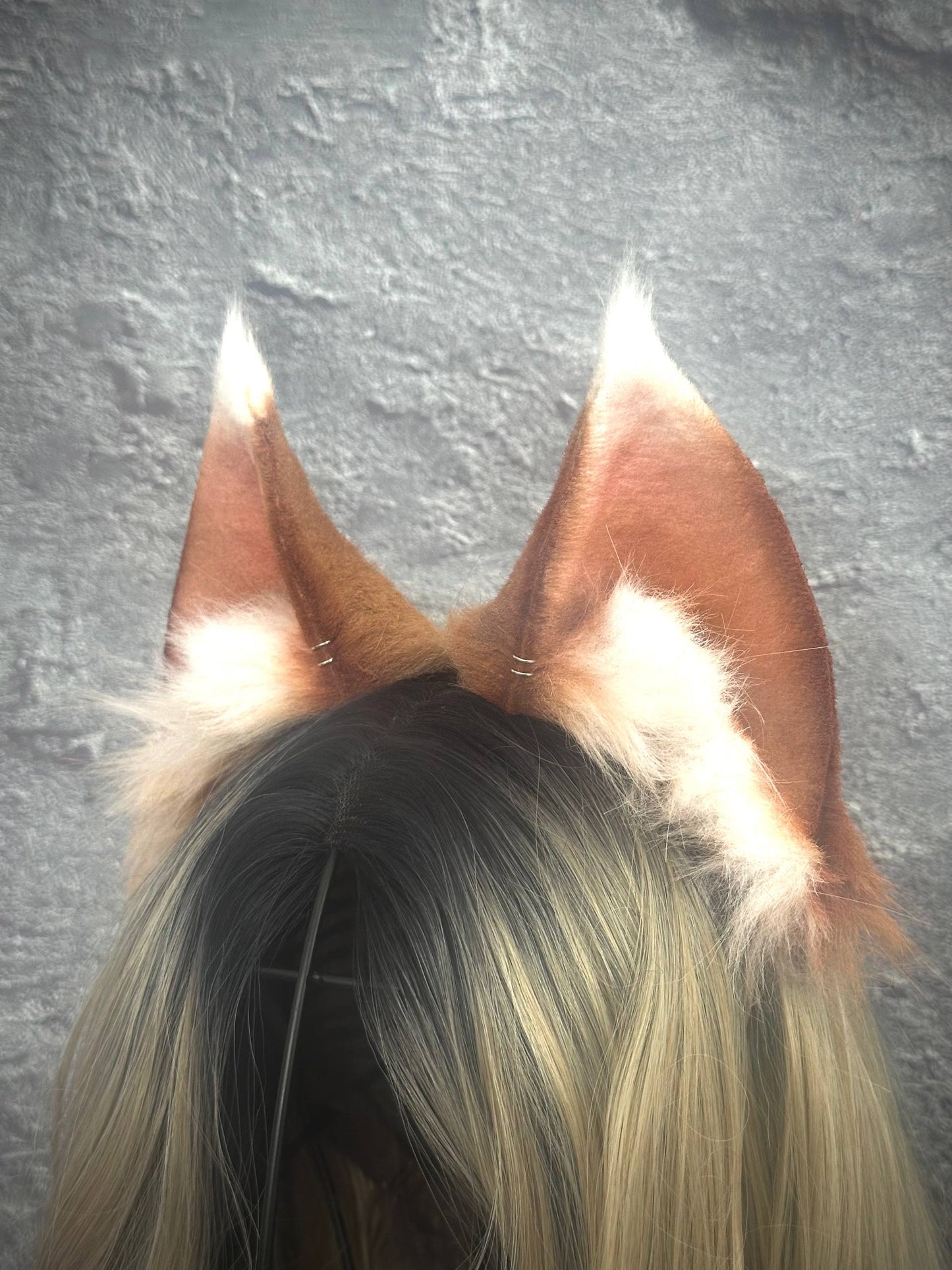 Holo Ears RFS